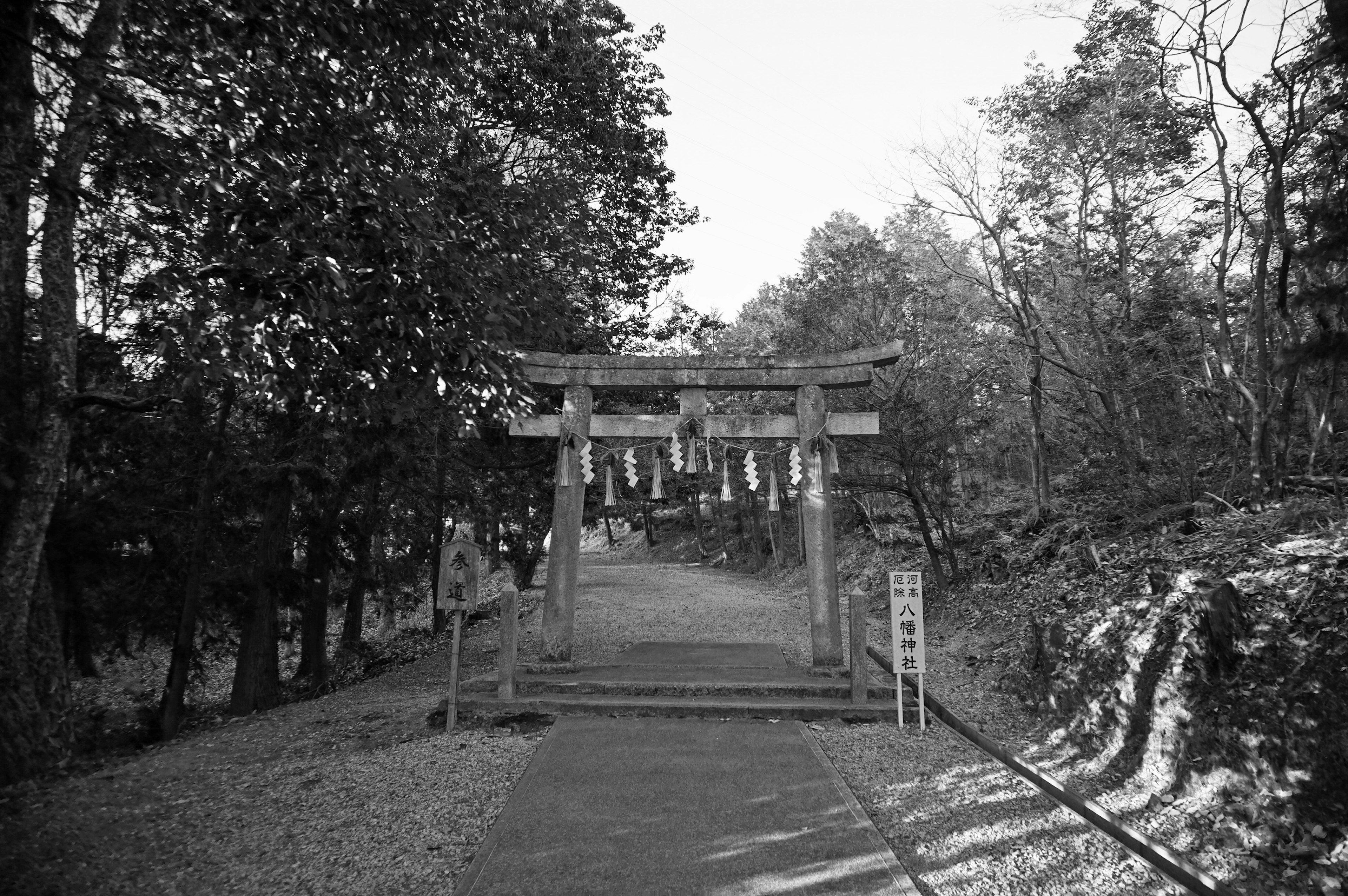 A serene pathway featuring a wooden torii gate