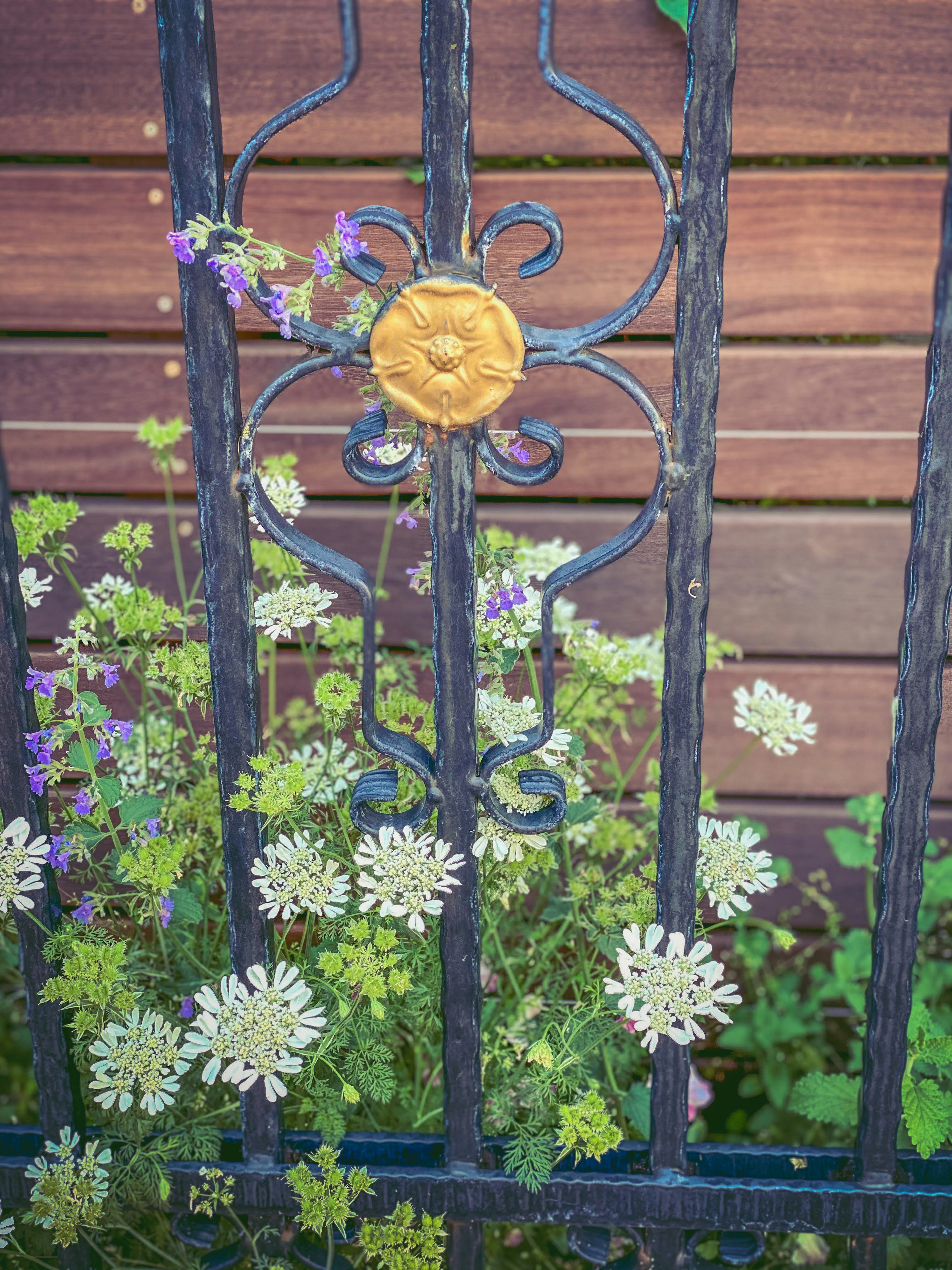 Clôture en fer avec motif de fleur dorée et fleurs colorées et plantes vertes