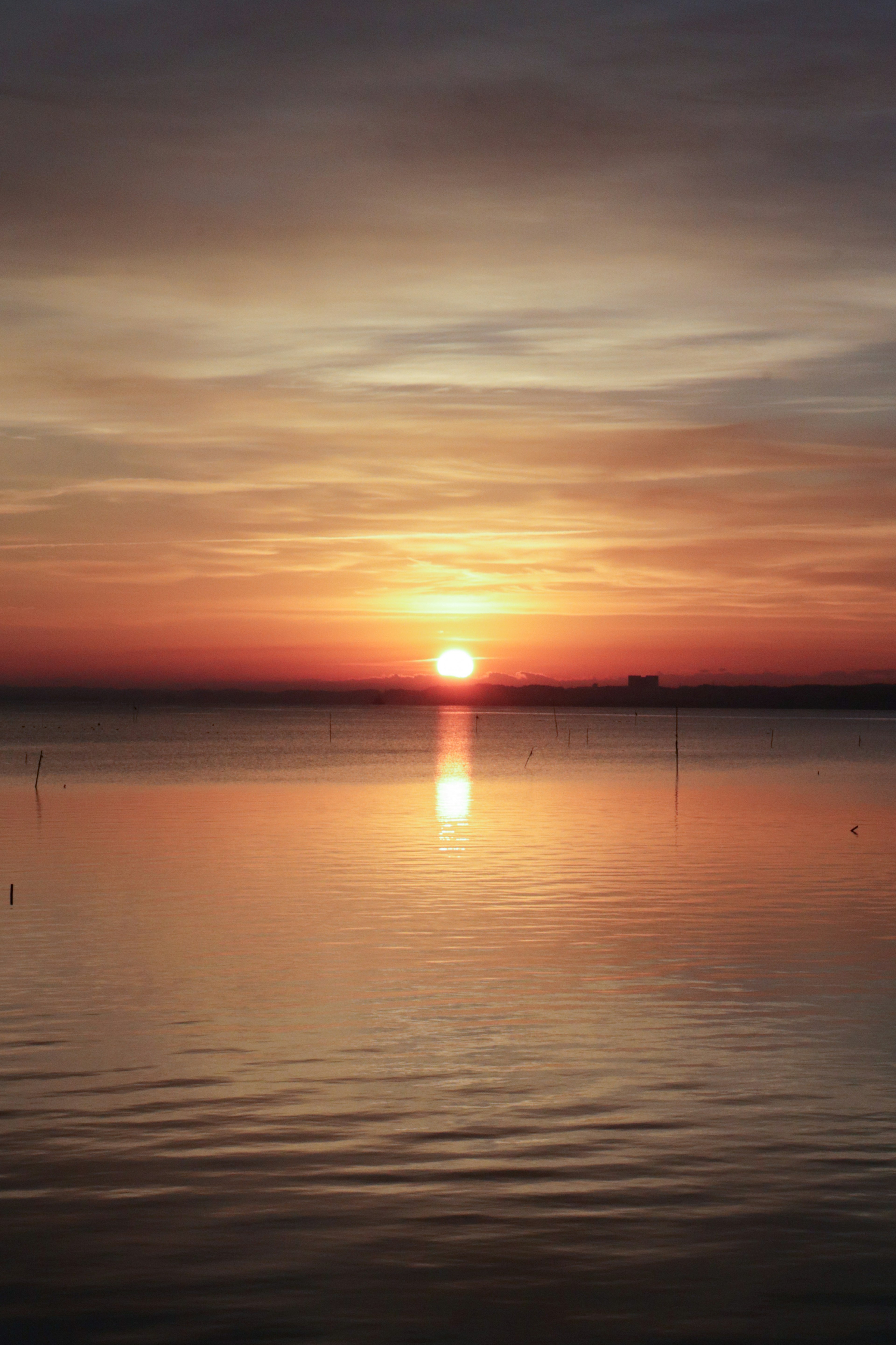 Splendido tramonto all'orizzonte con riflessi arancioni e rosa sull'acqua