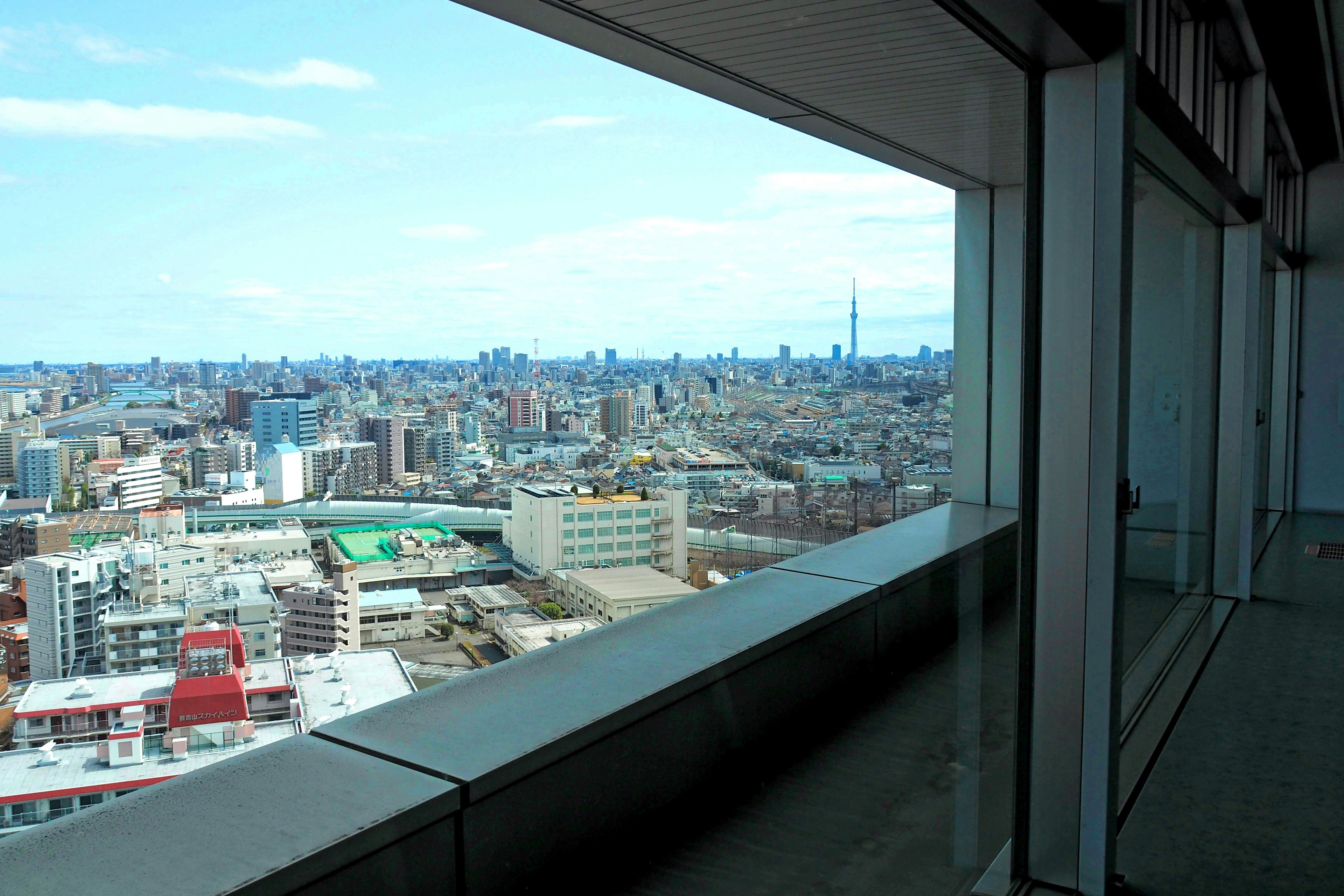 Pemandangan dari gedung tinggi di Tokyo dengan Tokyo Skytree