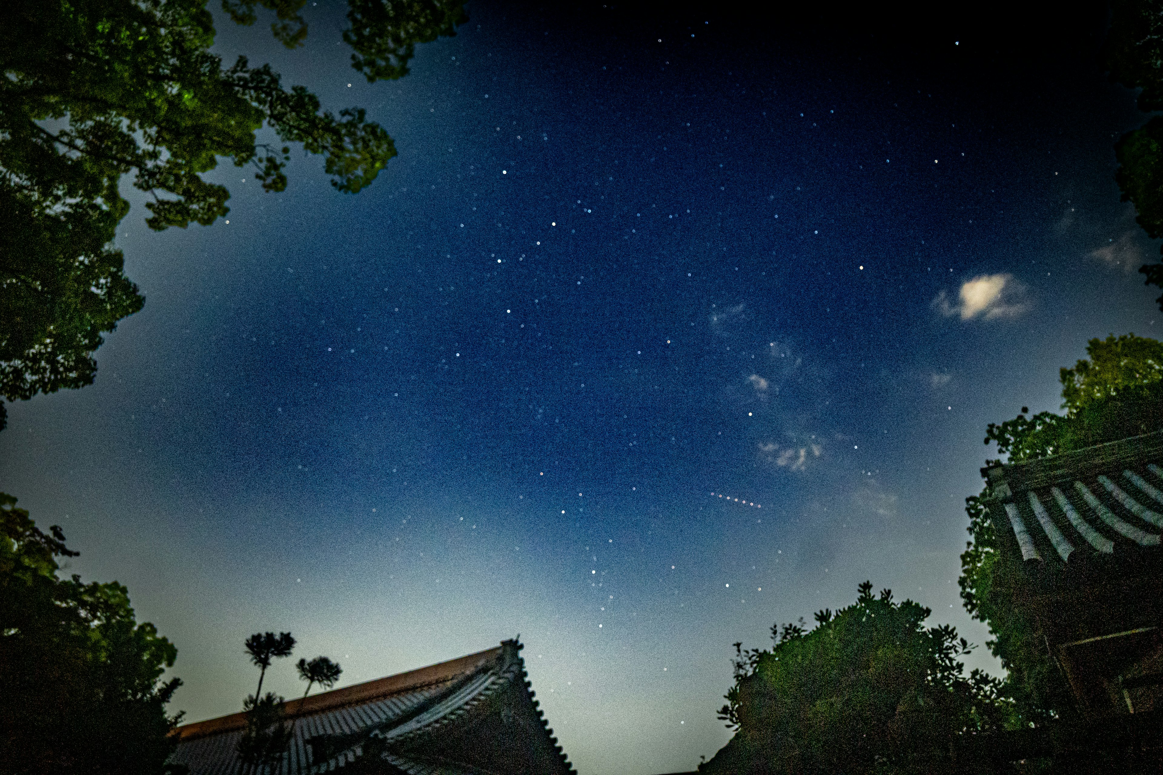 Cielo nocturno lleno de estrellas sobre edificios tradicionales y árboles