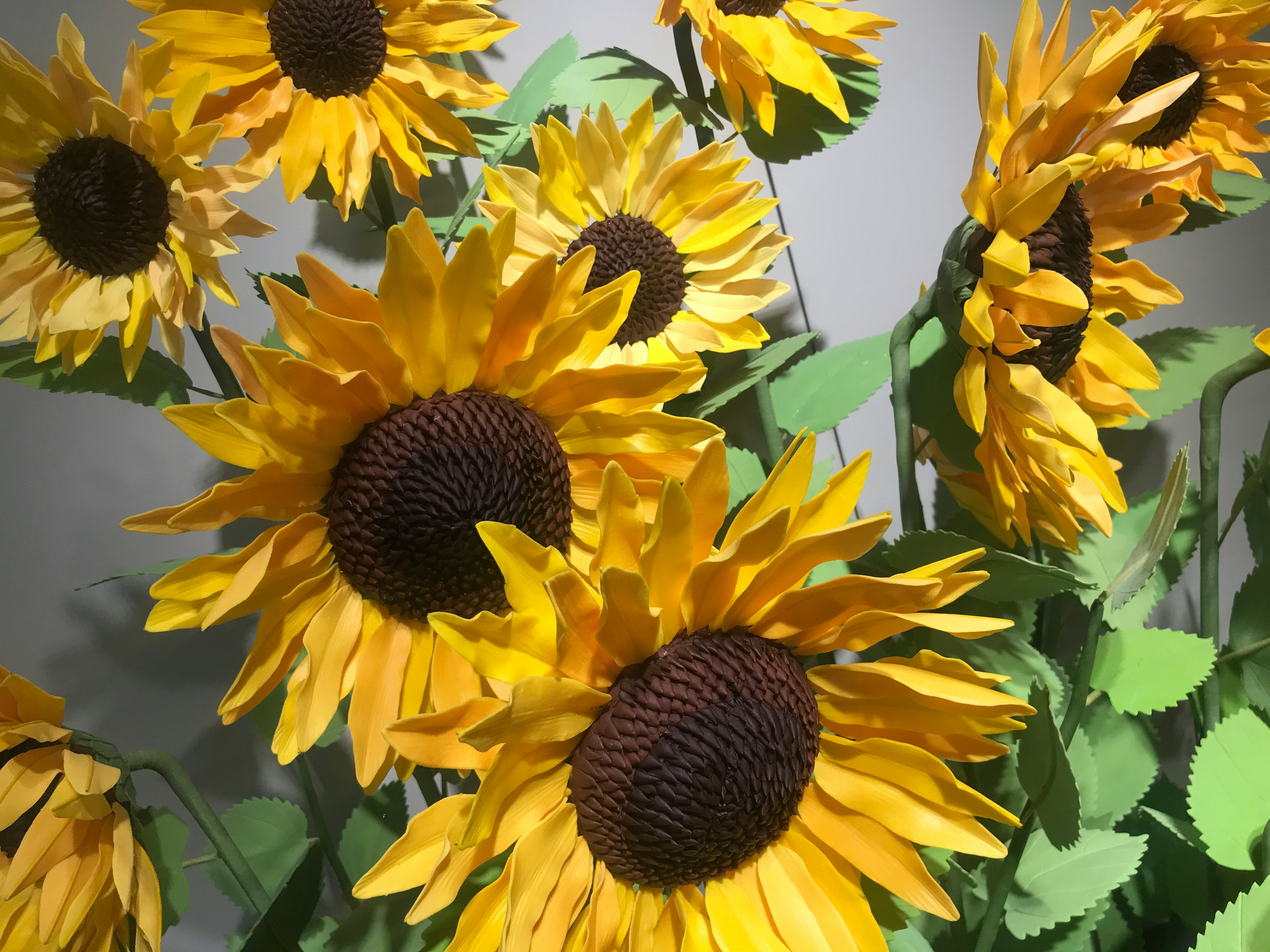 Vibrant bouquet of sunflowers with green leaves