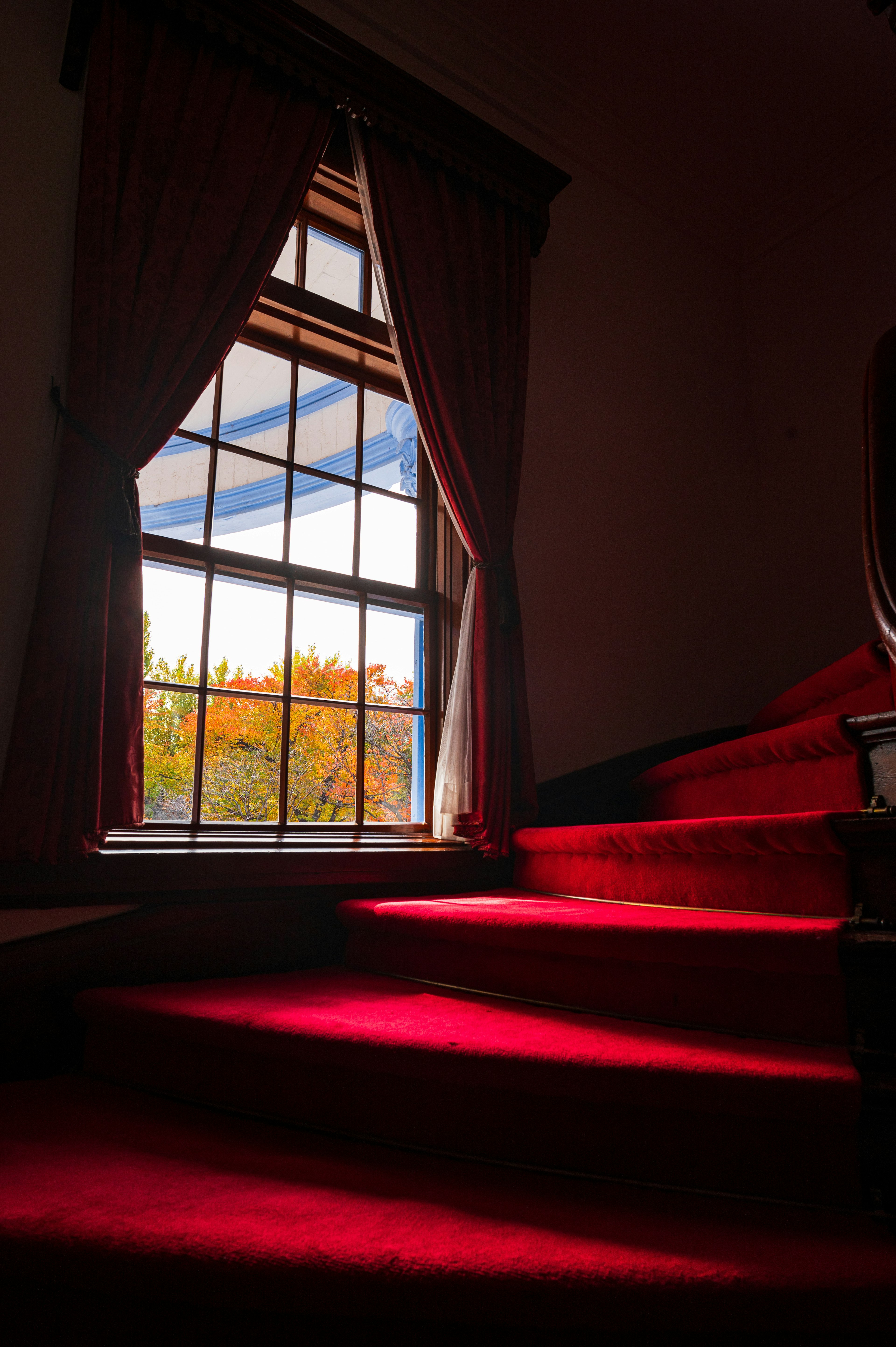 Escalera de alfombra roja con una gran ventana que muestra un paisaje otoñal