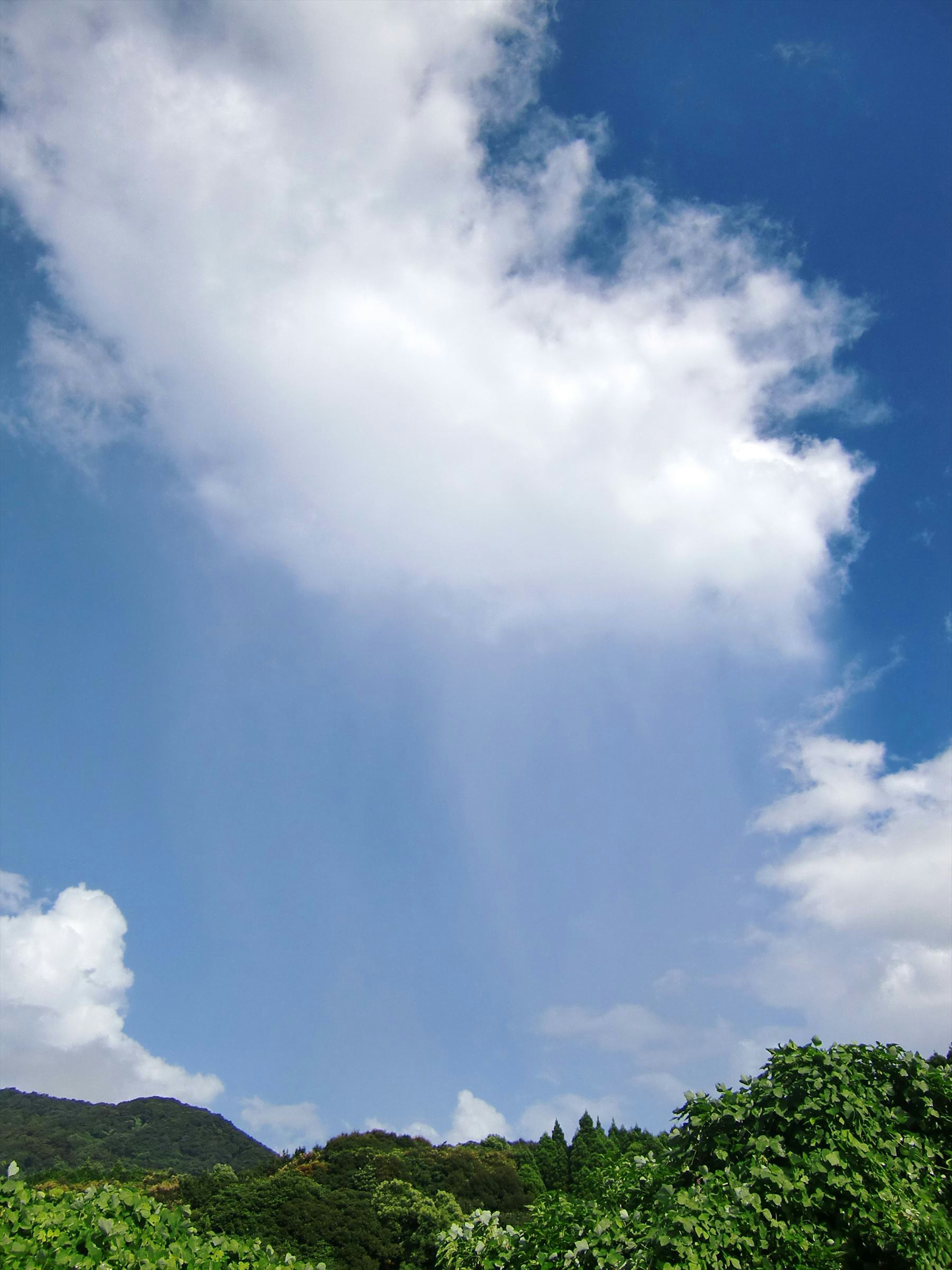 Flauschige weiße Wolken in einem blauen Himmel über üppigen grünen Hügeln