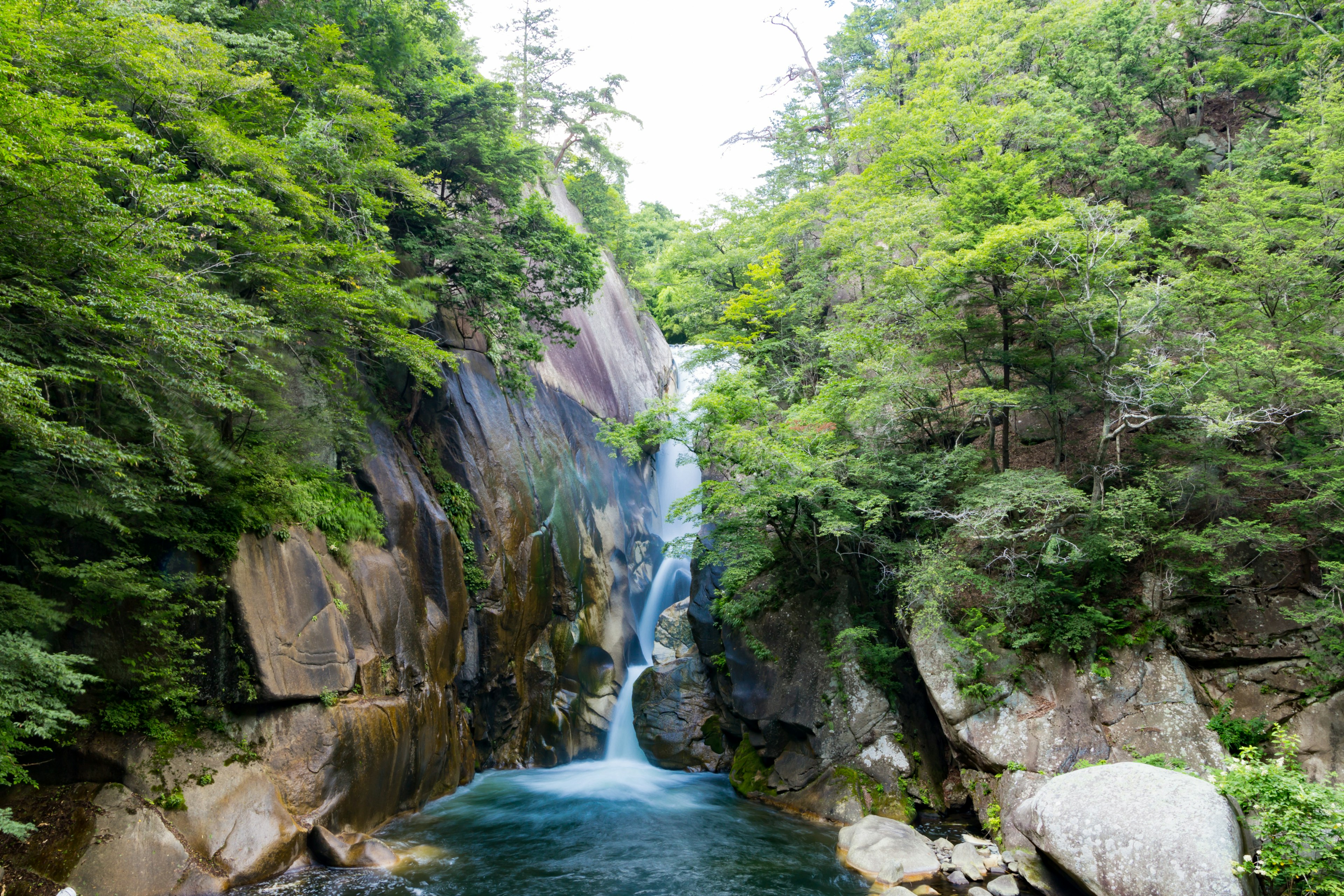 Pemandangan air terjun yang dikelilingi hutan hijau subur