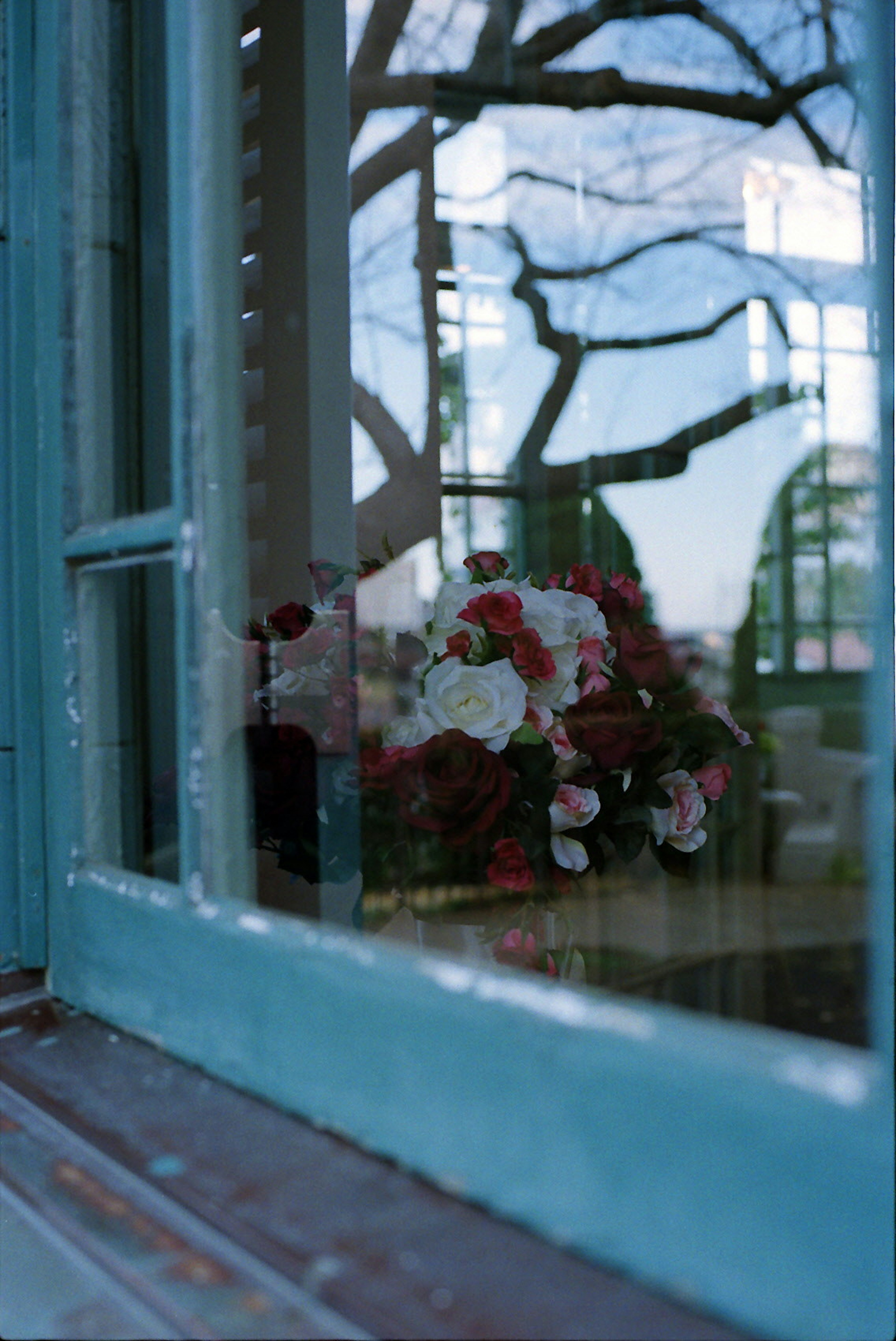 Blauer Fensterrahmen zeigt Blumenarrangement und reflektierte Baumäste