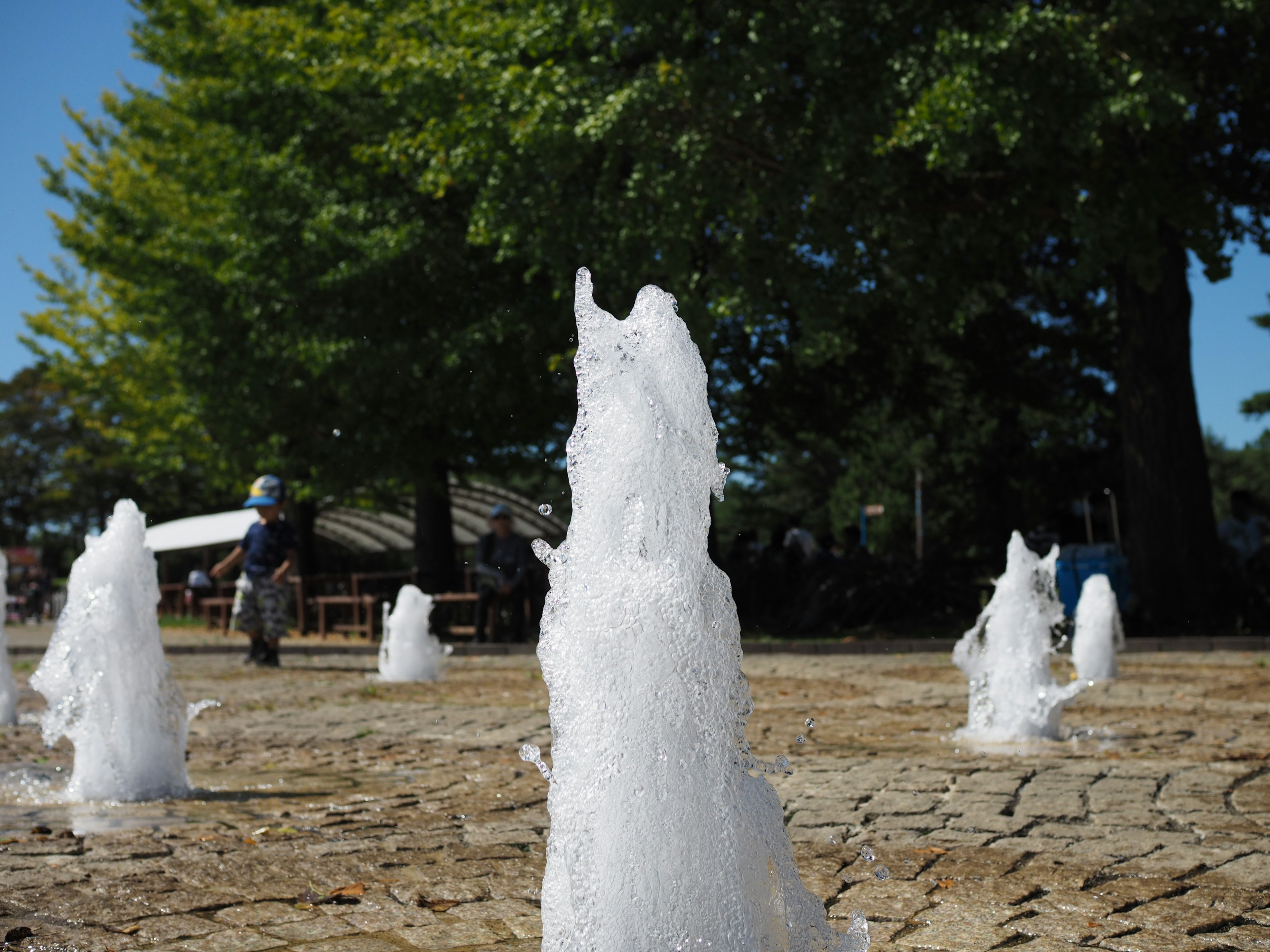 A park scene with multiple water fountains green trees in the background children playing