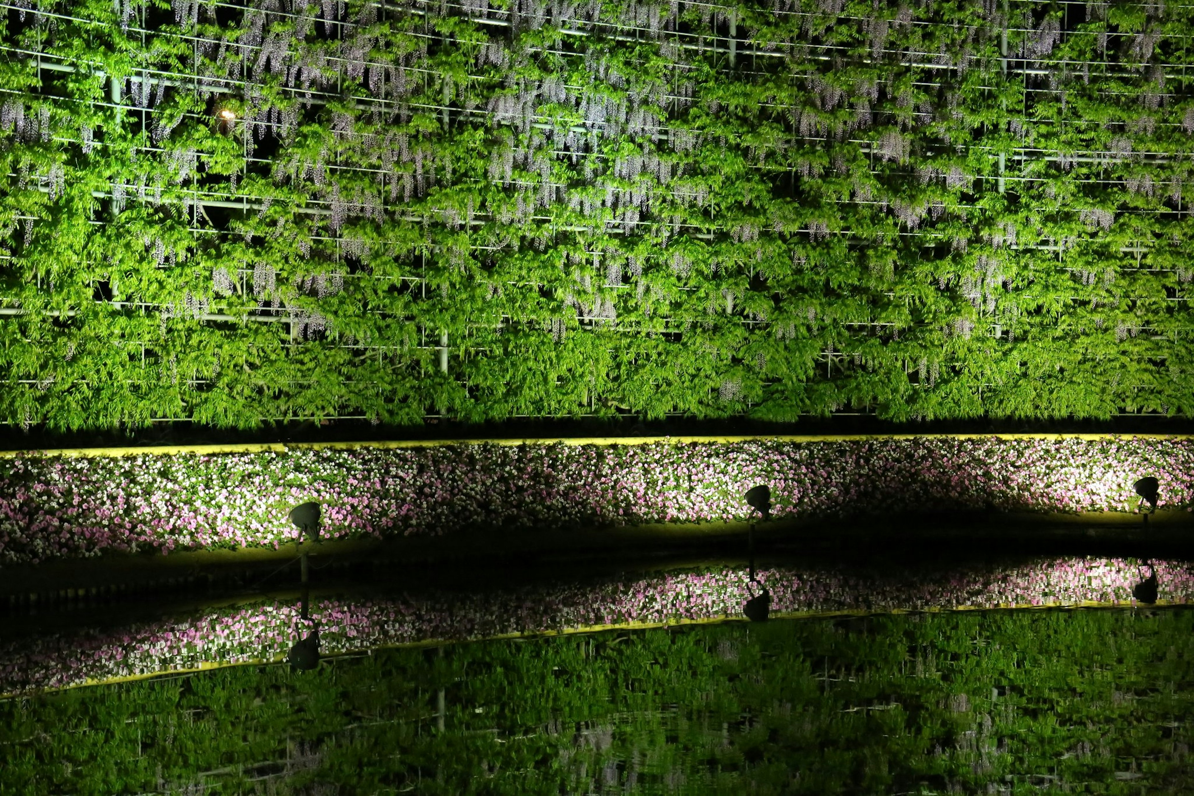 Vue nocturne avec un mur vert et des reflets sur l'eau