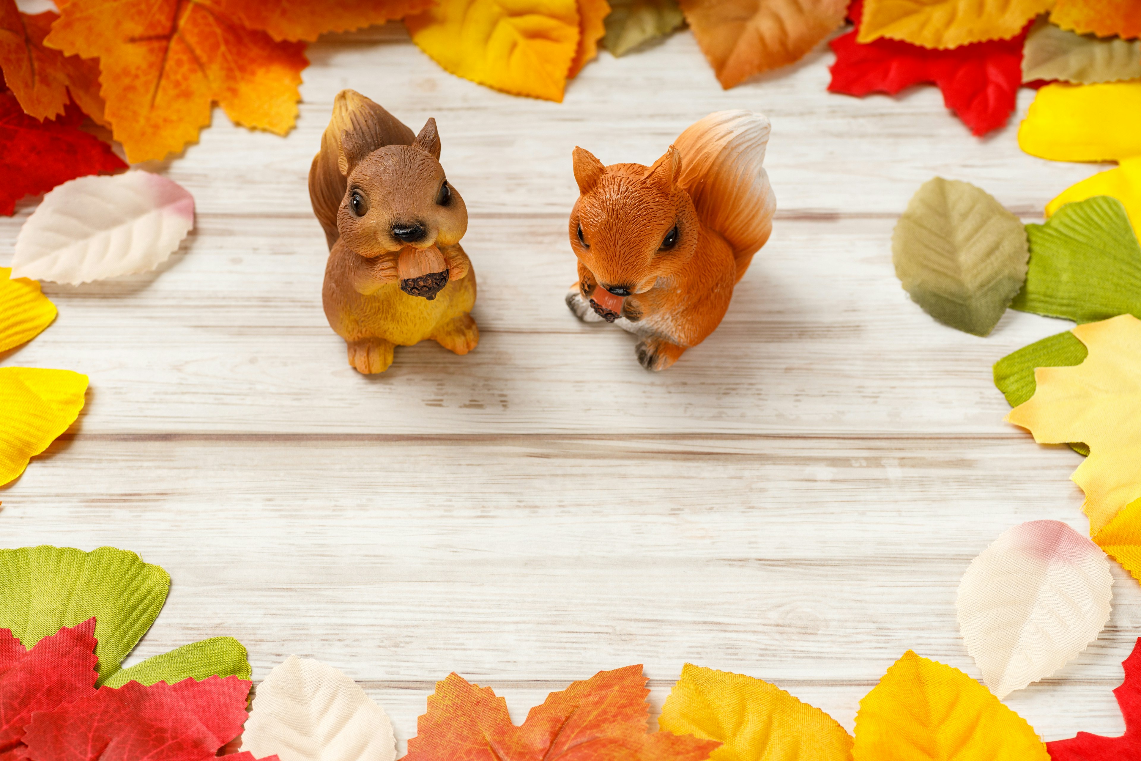 Cute squirrel figurines surrounded by autumn leaves