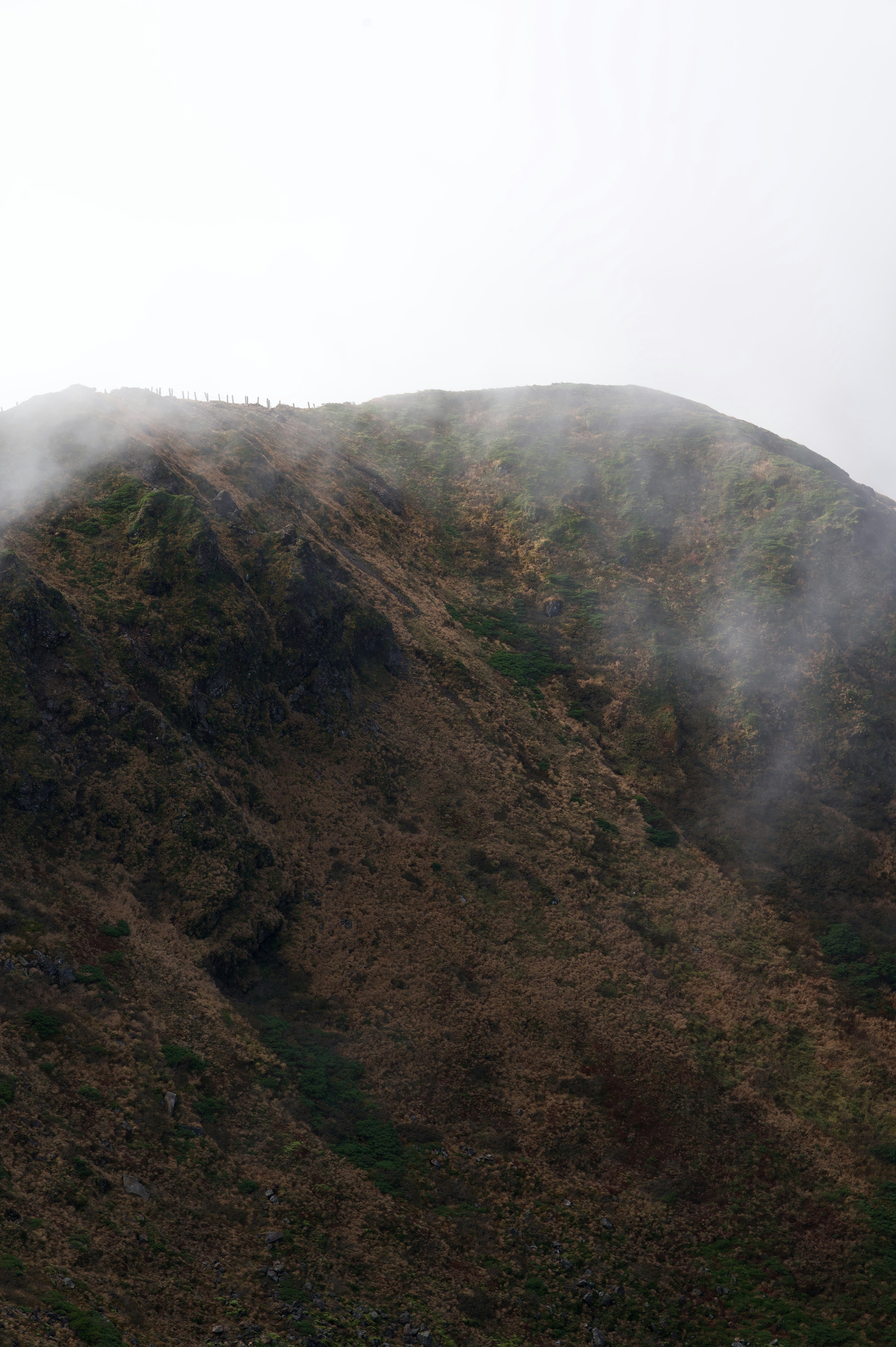 霧に包まれた山の斜面の風景