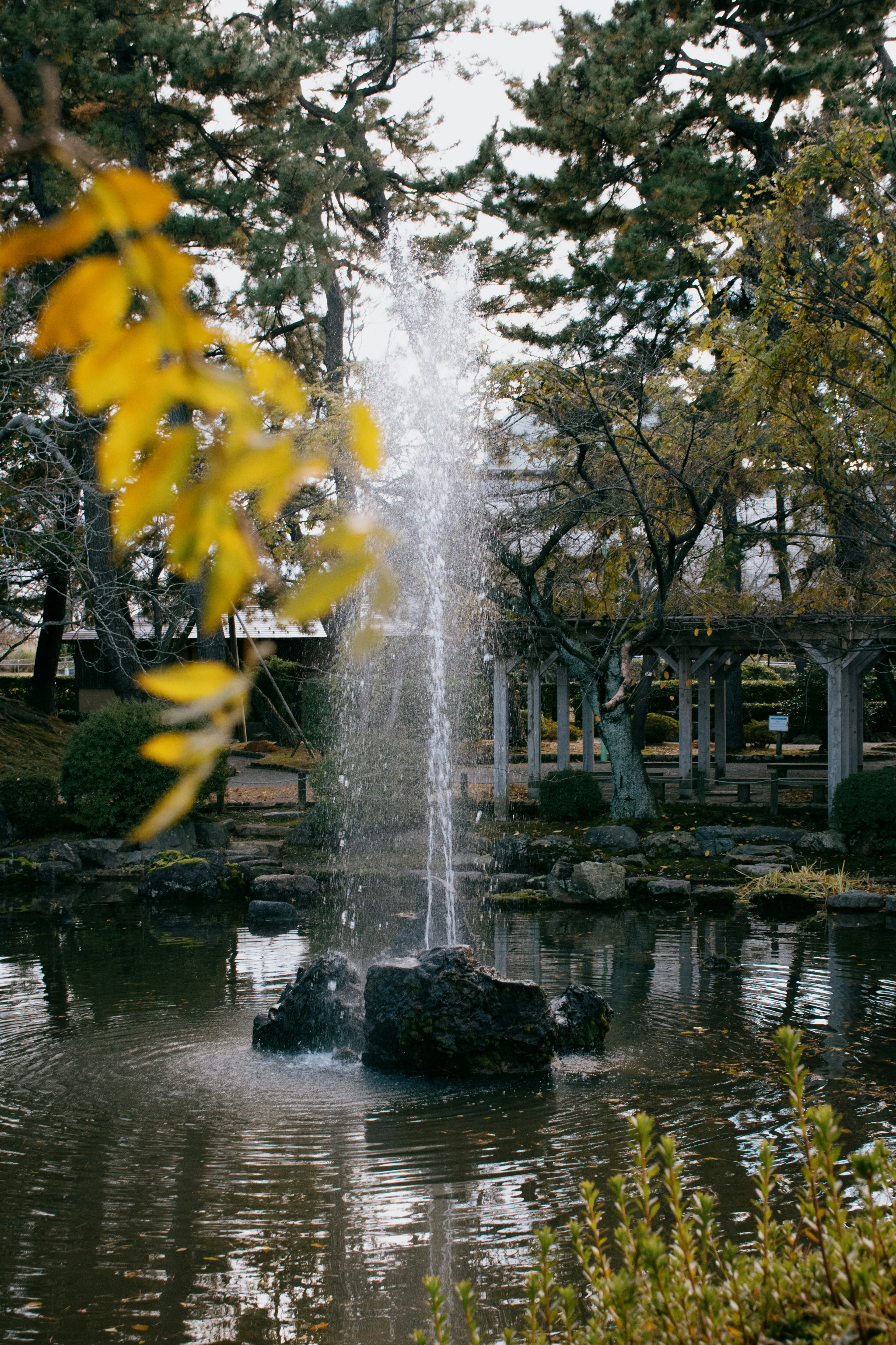 池塘中的喷泉，周围是树木和秋天的树叶