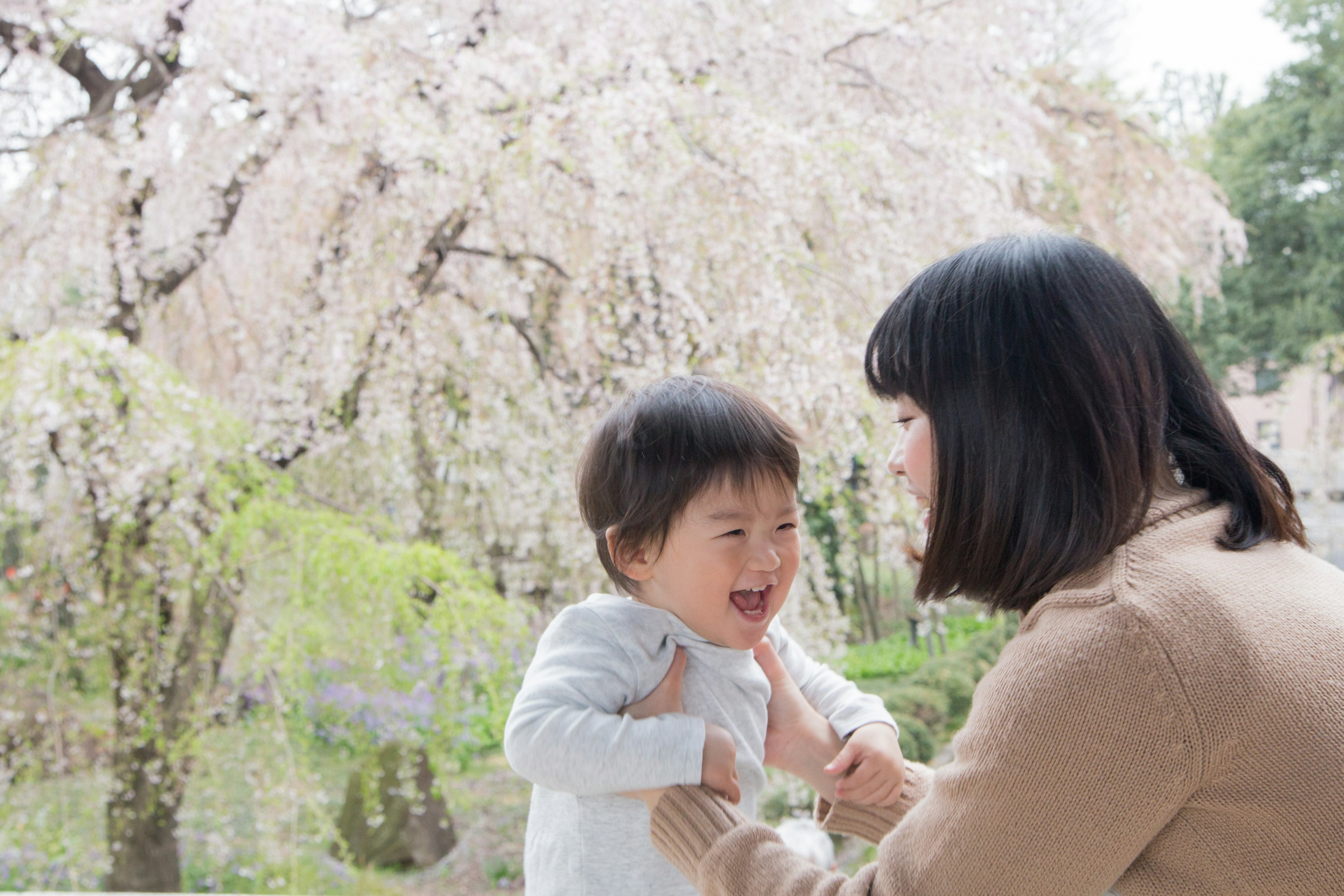 Une mère et son enfant riant ensemble devant un cerisier en fleurs