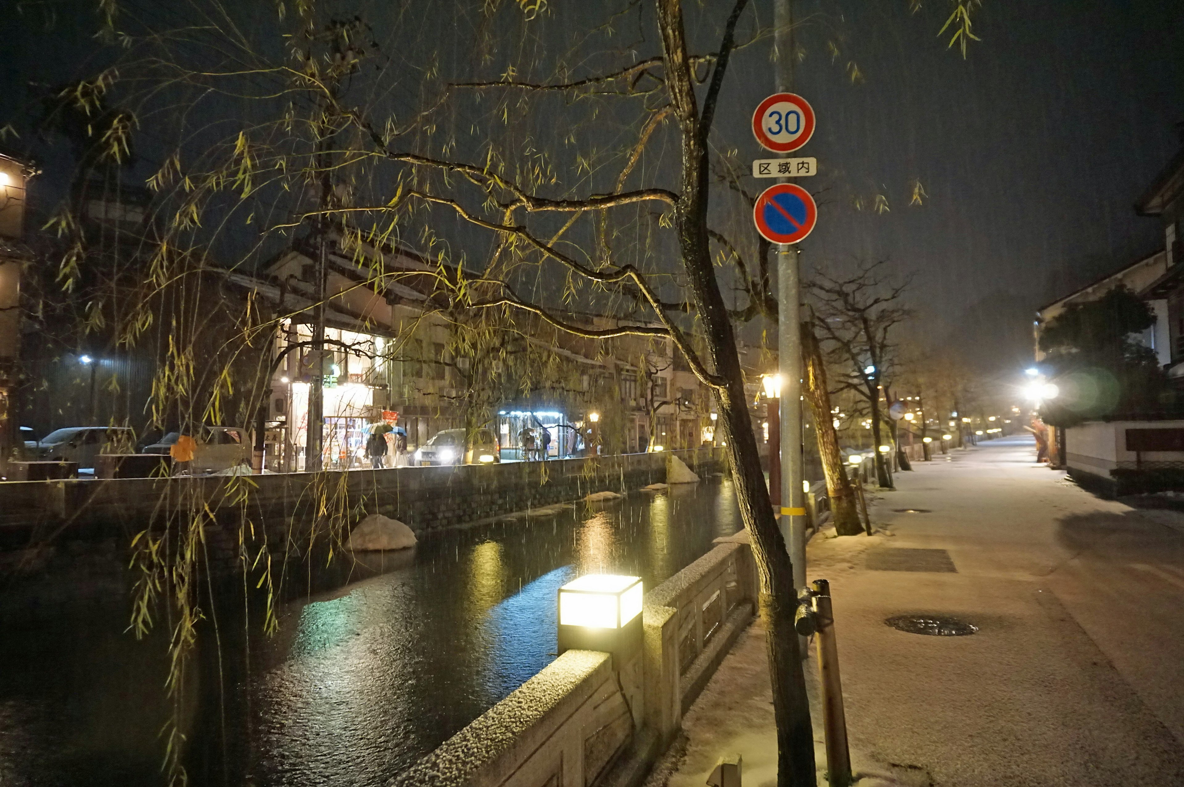 夜の川沿いの散歩道に立つ柳の木と街灯の明かり