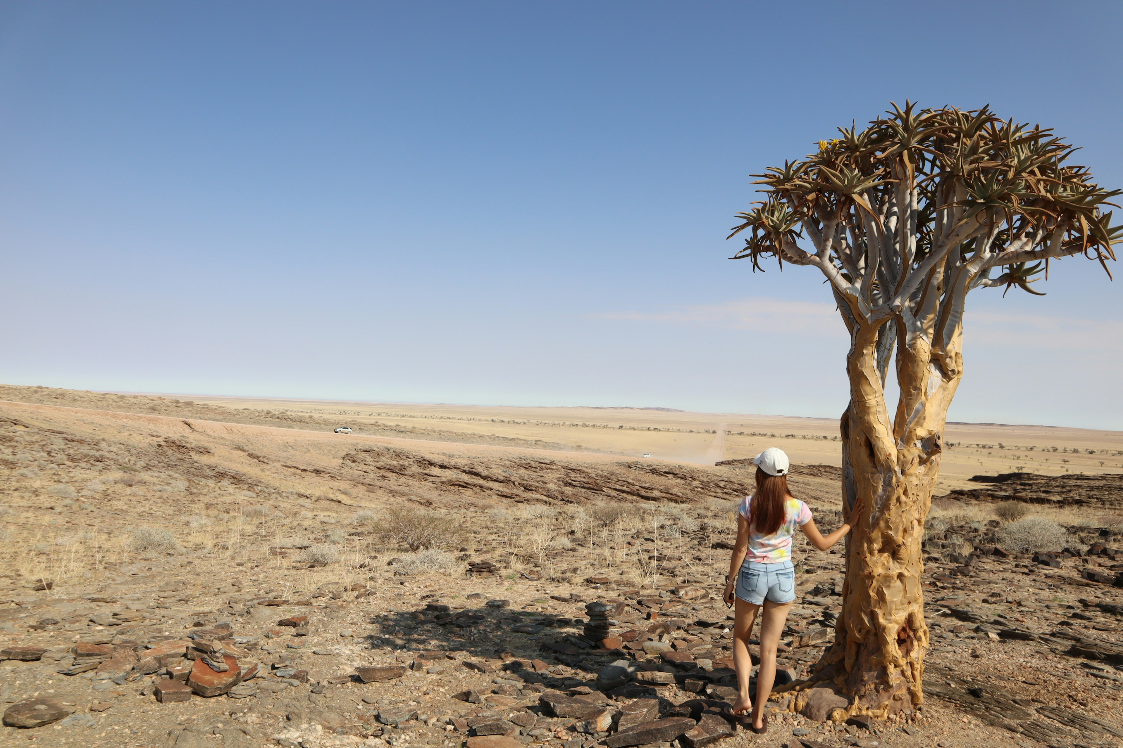 A woman standing near a quiver tree in a dry landscape