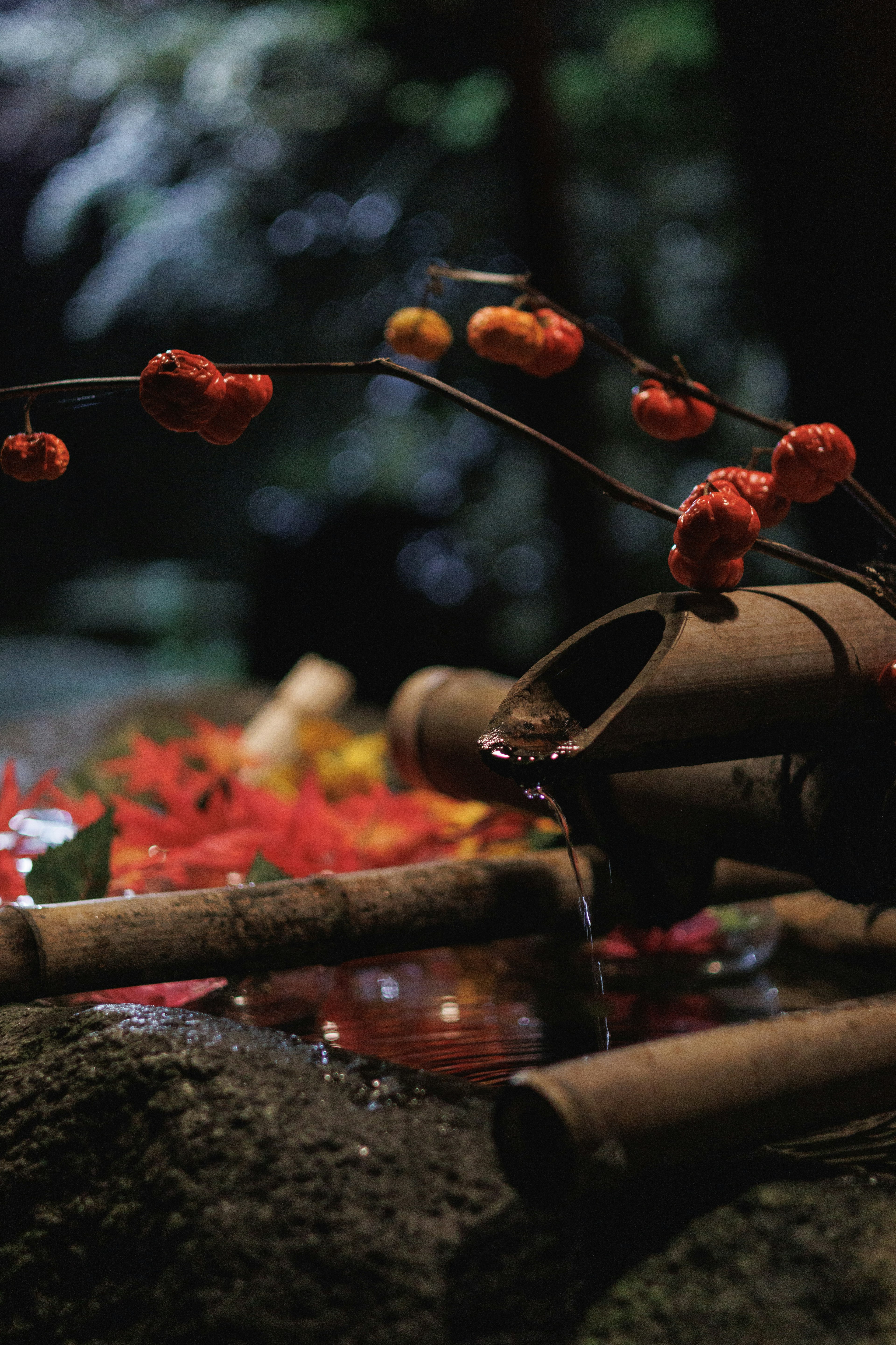 Una scena di giardino tranquilla con un beccuccio in bambù e bacche rosse vivaci