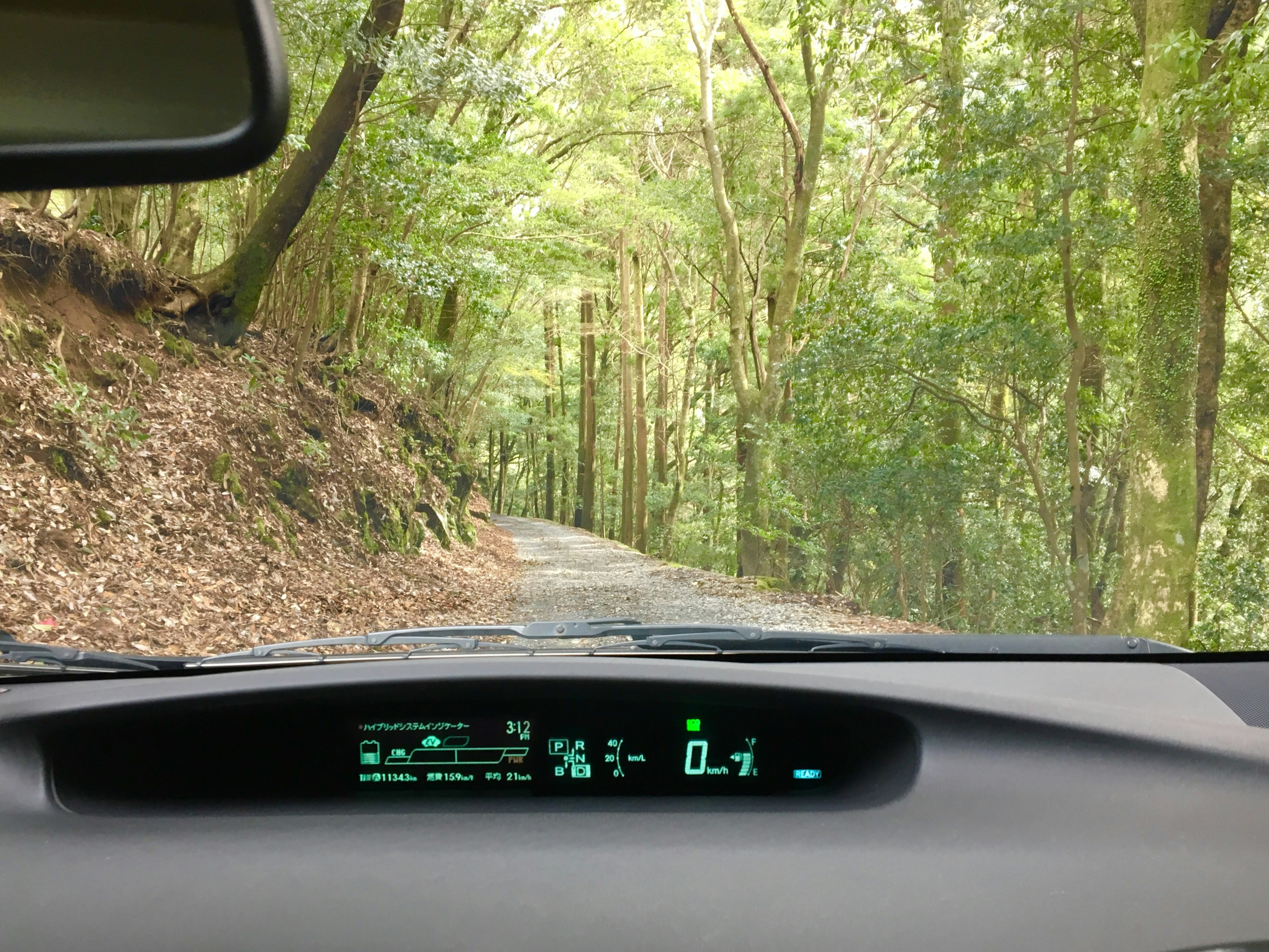 車のダッシュボードと緑豊かな森の道の風景