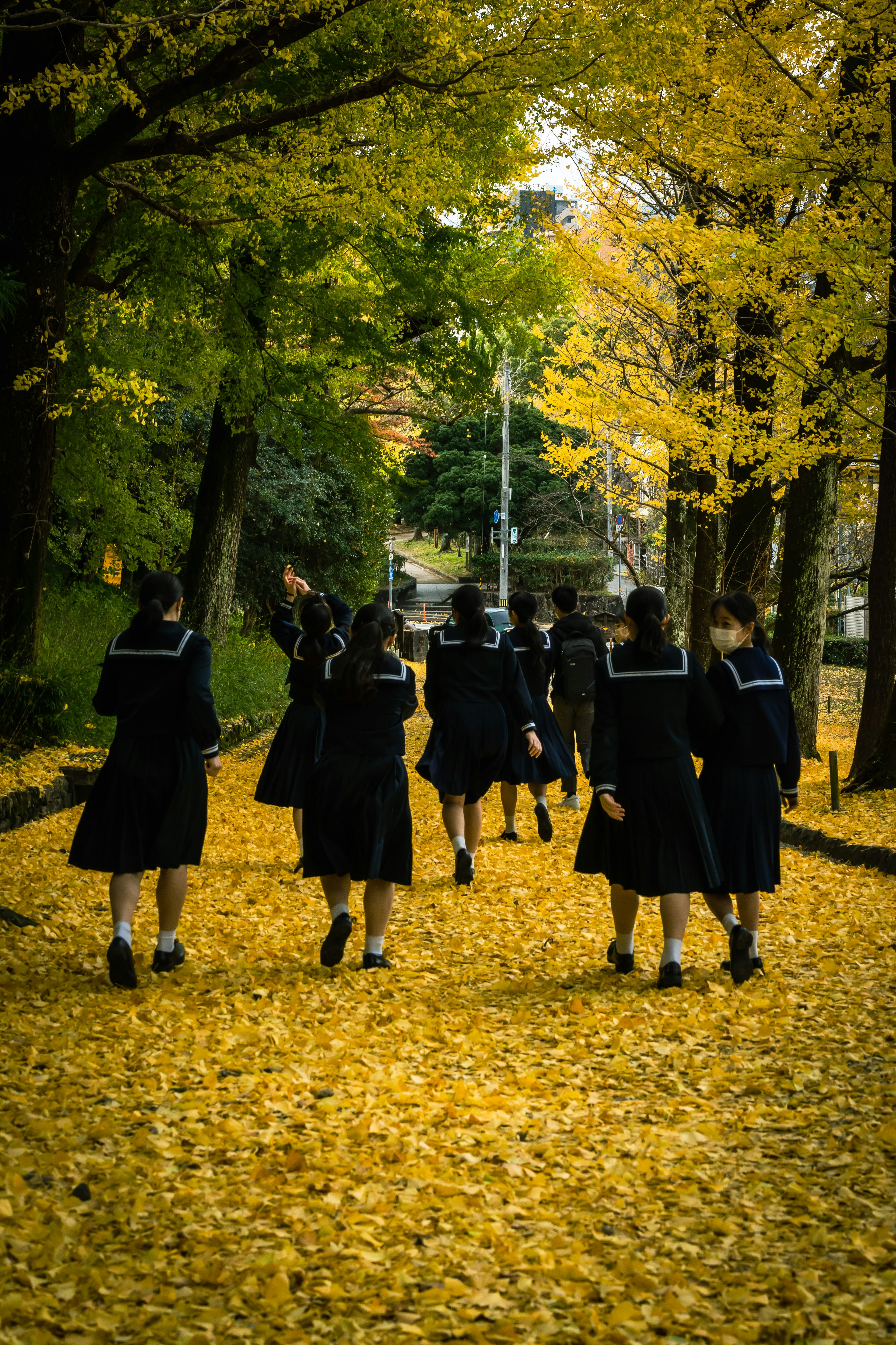 Schüler in Uniform gehen auf einem Weg, der mit gelben Blättern bedeckt ist