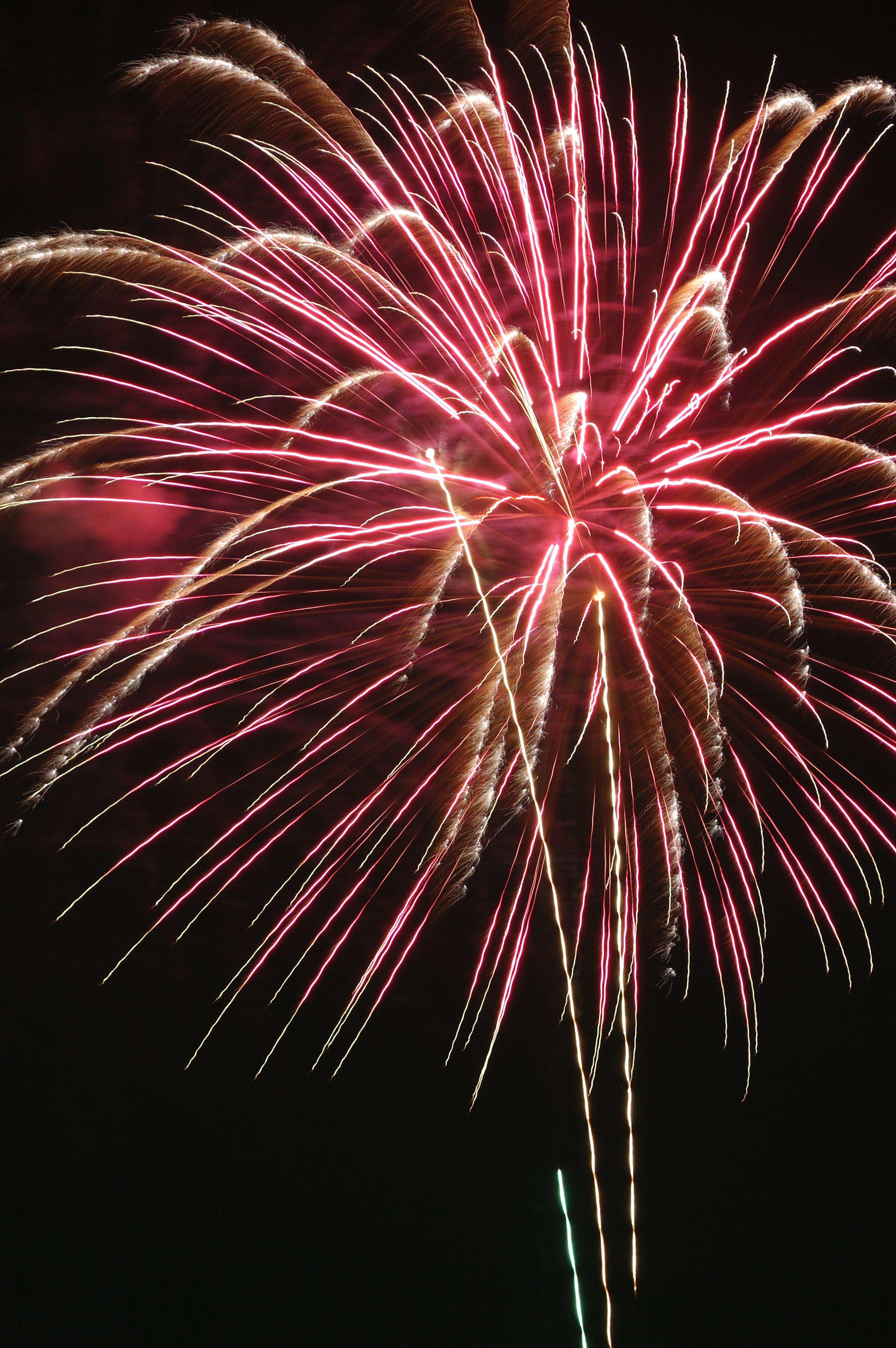 Red fireworks bursting in the night sky