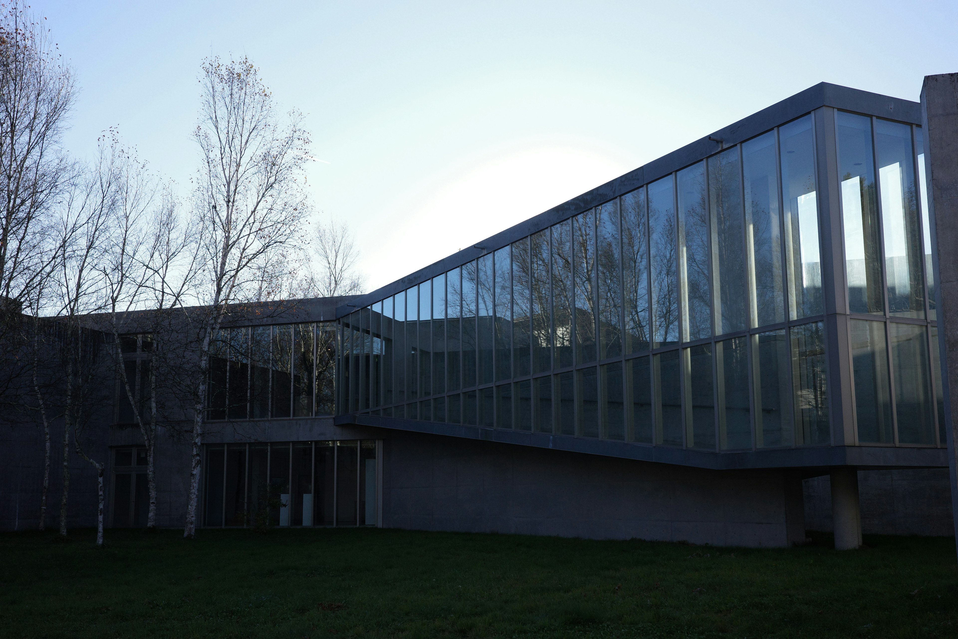 Edificio moderno de vidrio bajo un cielo azul