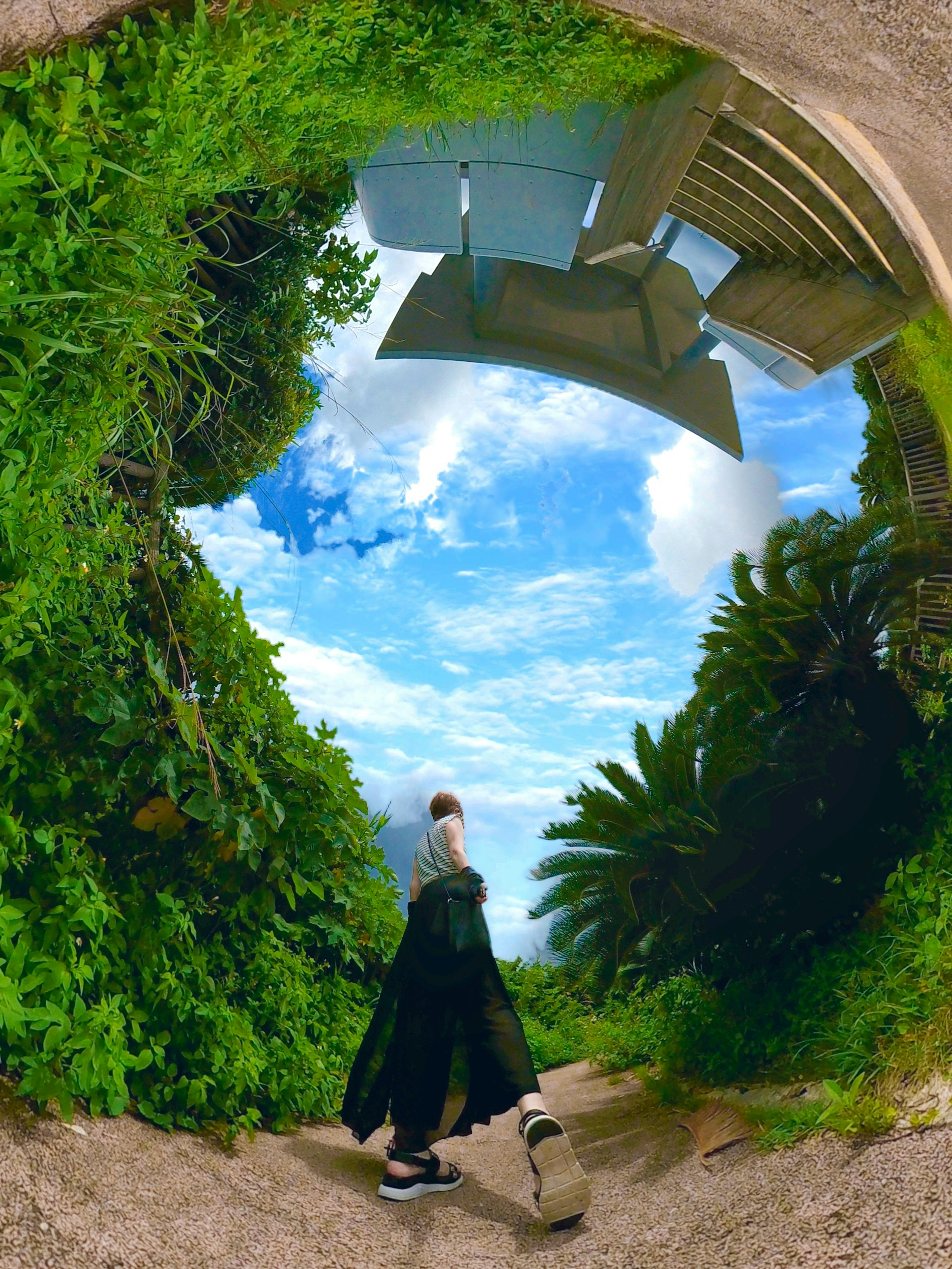 Une personne marchant à travers un tunnel verdoyant avec une vue sur le ciel bleu et les nuages