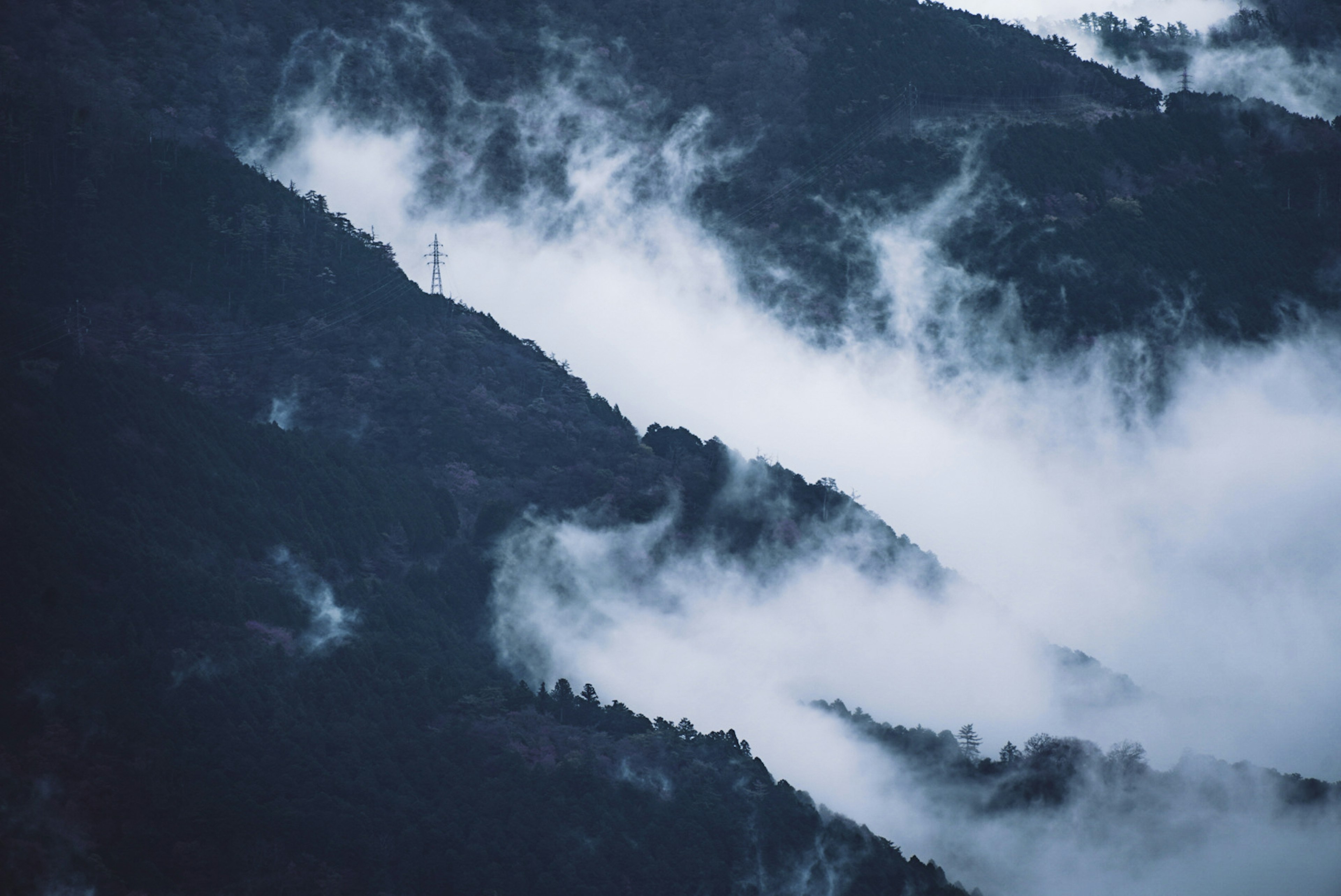 山々を覆う霧の景色が広がる