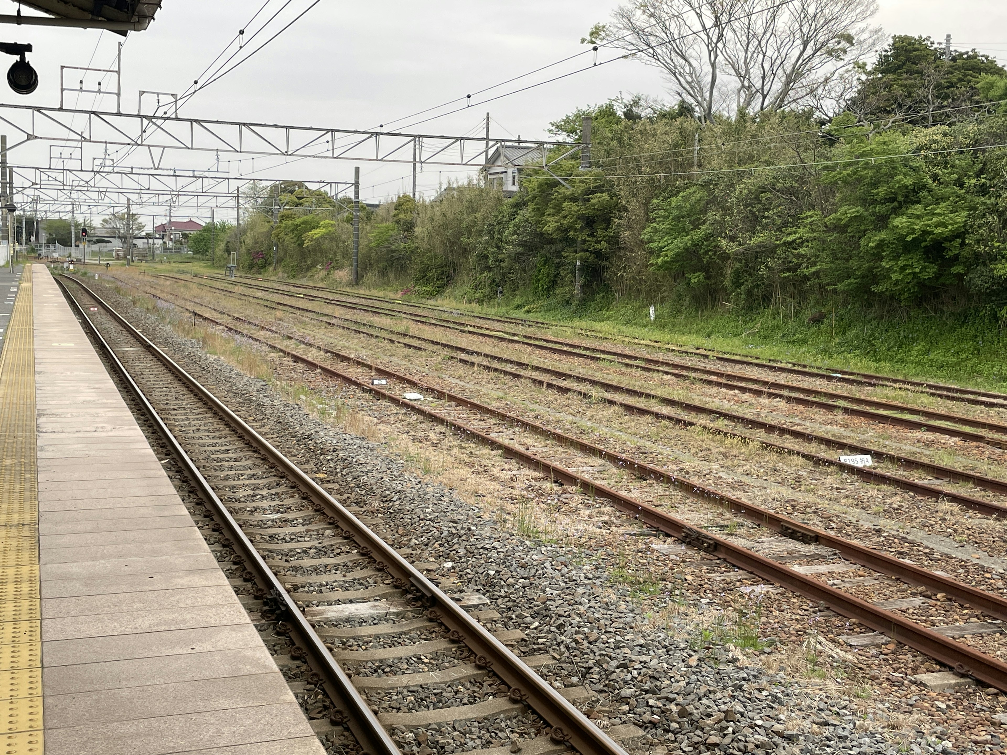 Pemandangan rel kereta dari platform stasiun dengan beberapa rel dan pepohonan hijau