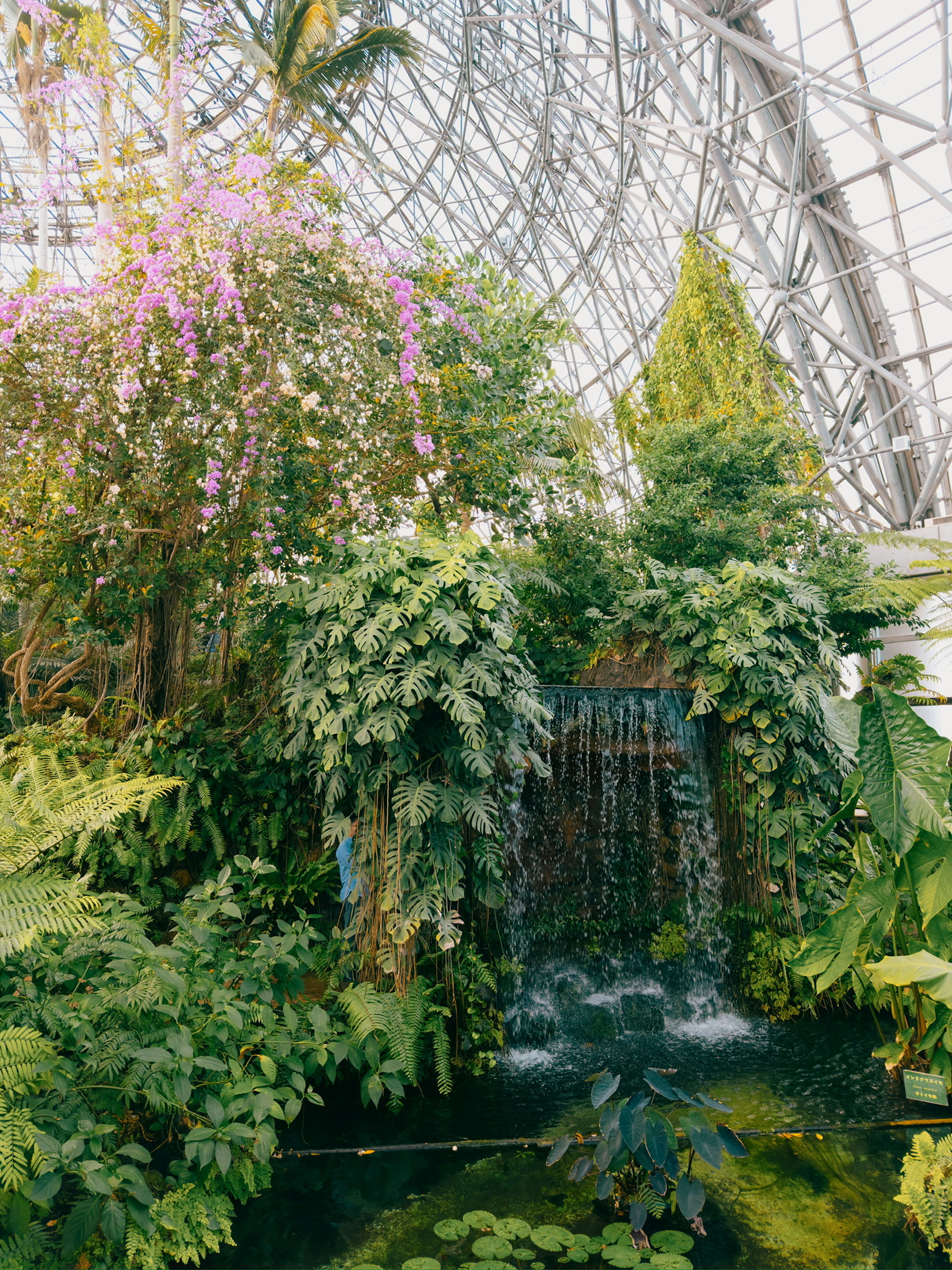 Indoor greenhouse featuring lush greenery and a cascading waterfall