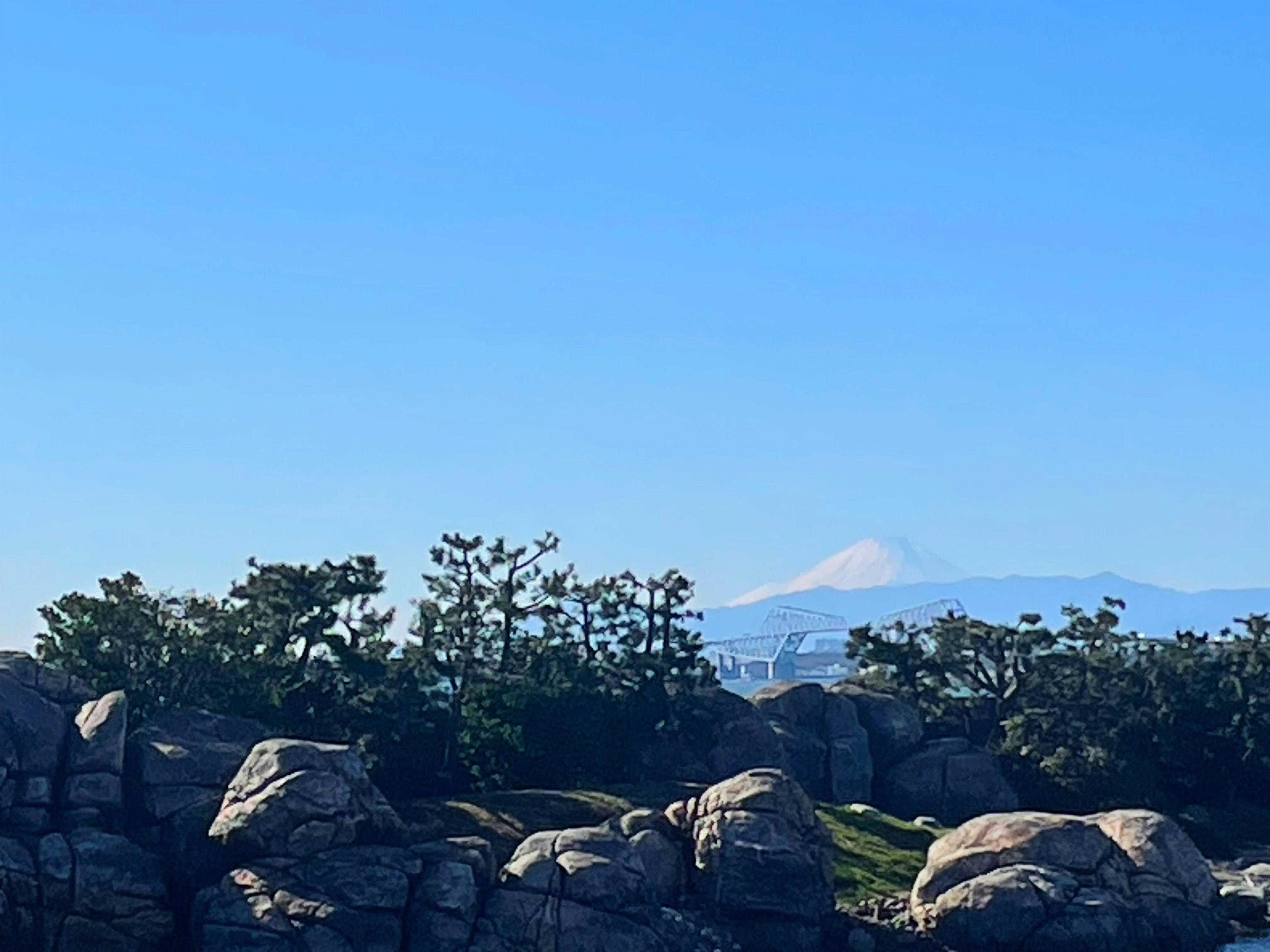 青空の下にある岩と木々の景色 遠くには山が見える