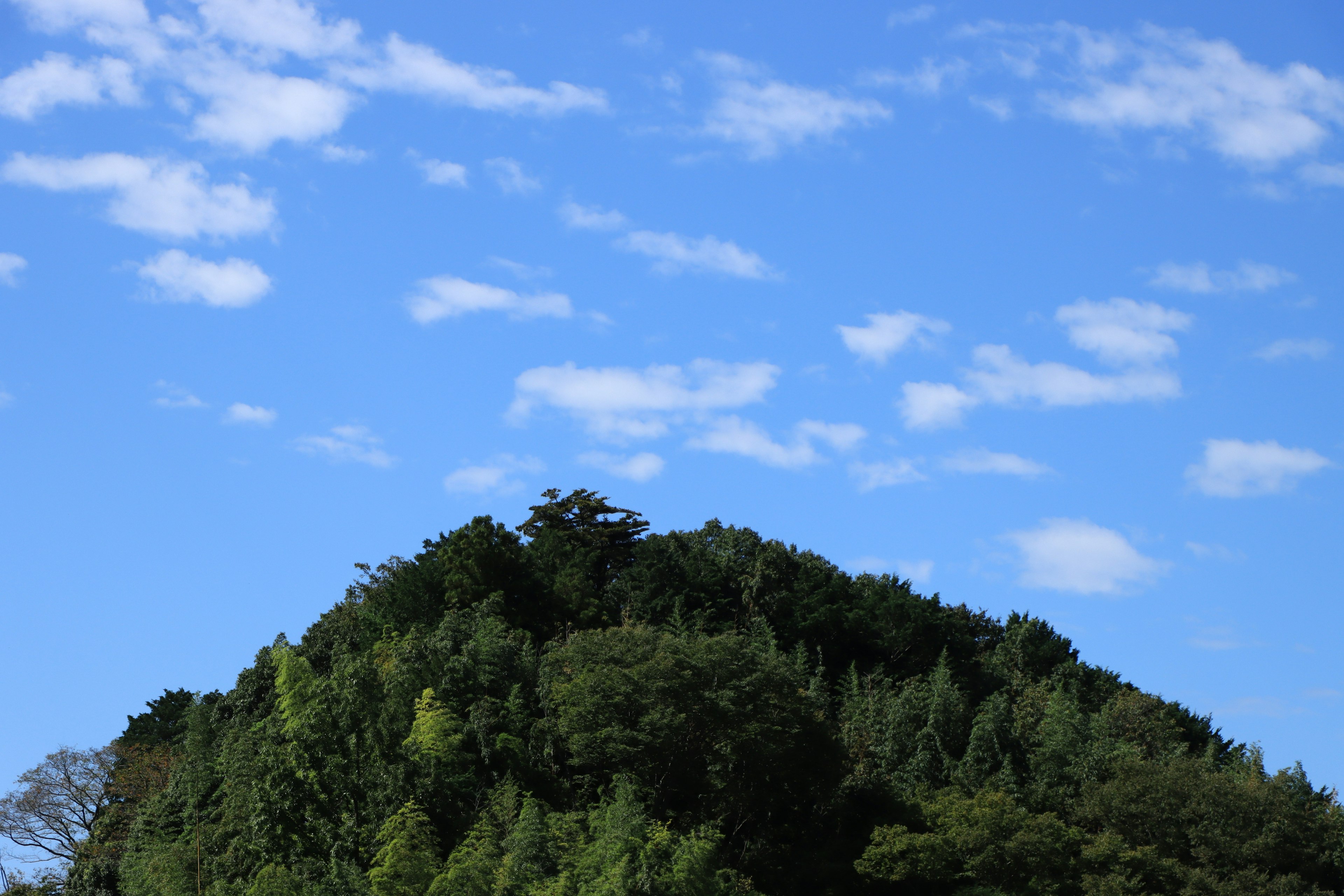 Sebuah bukit hijau di bawah langit biru