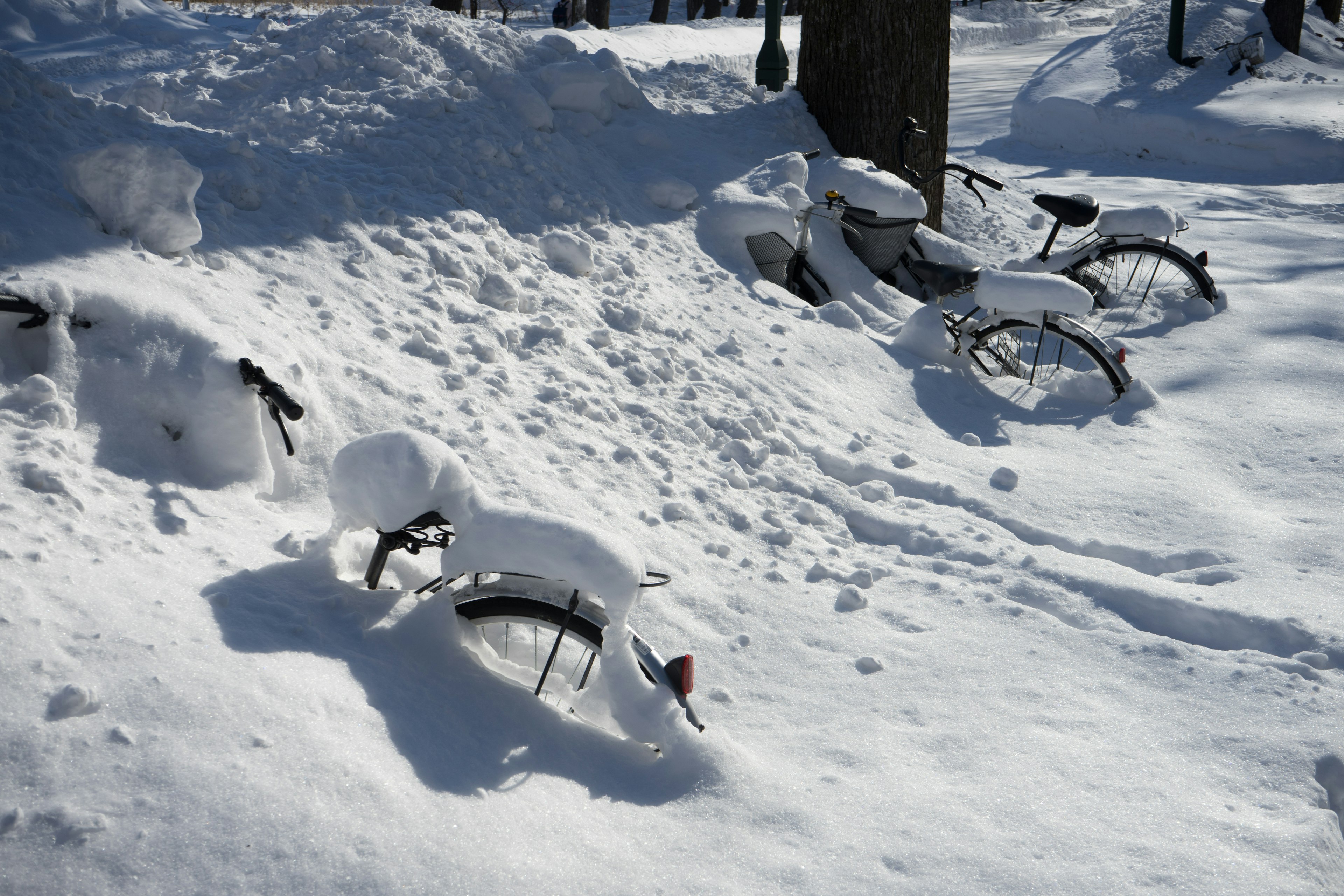 Bicycles covered in snow with a bright winter landscape