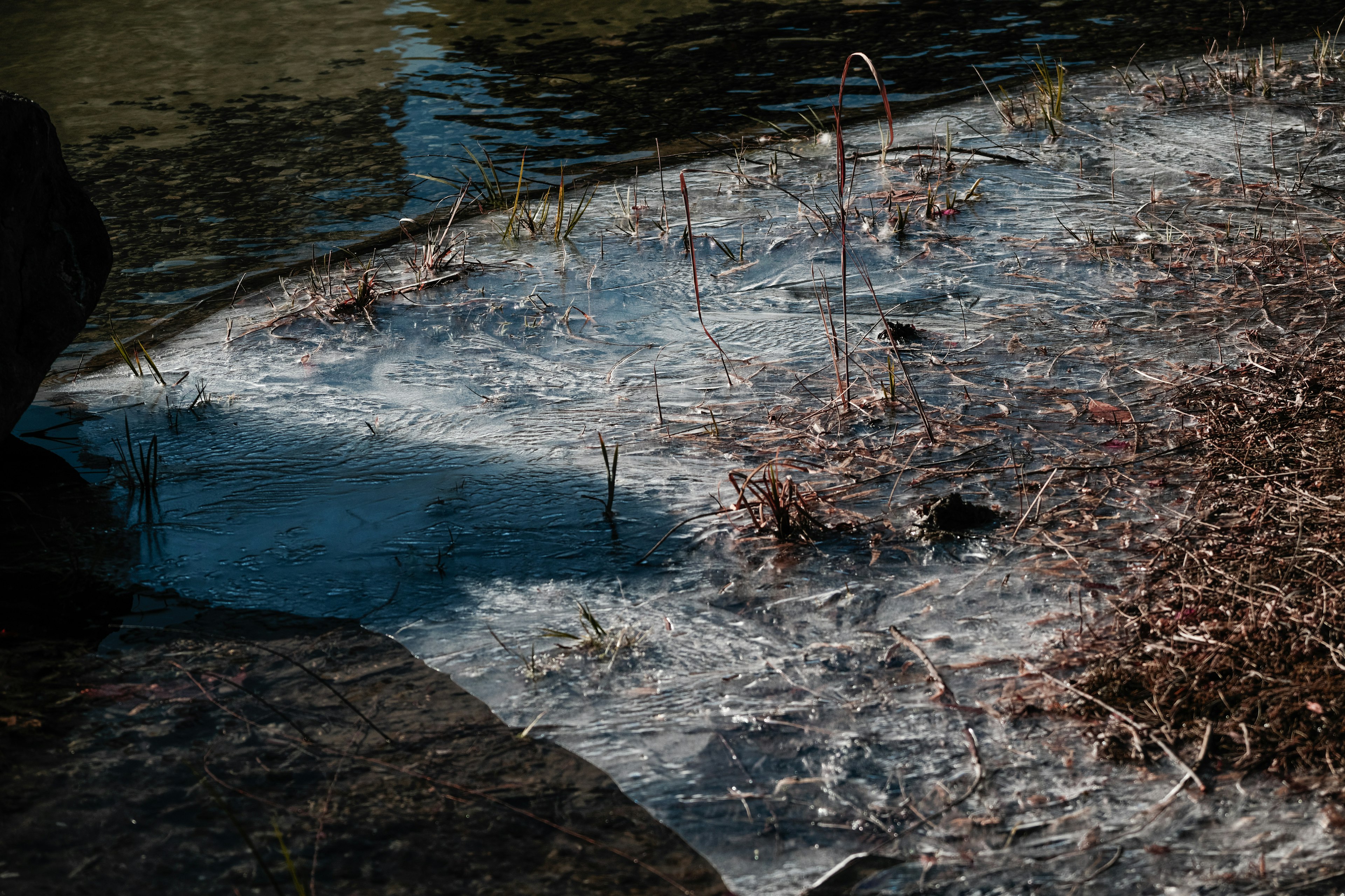 Ruhige Landschaft mit Gras am Wasser und Schatten von Felsen