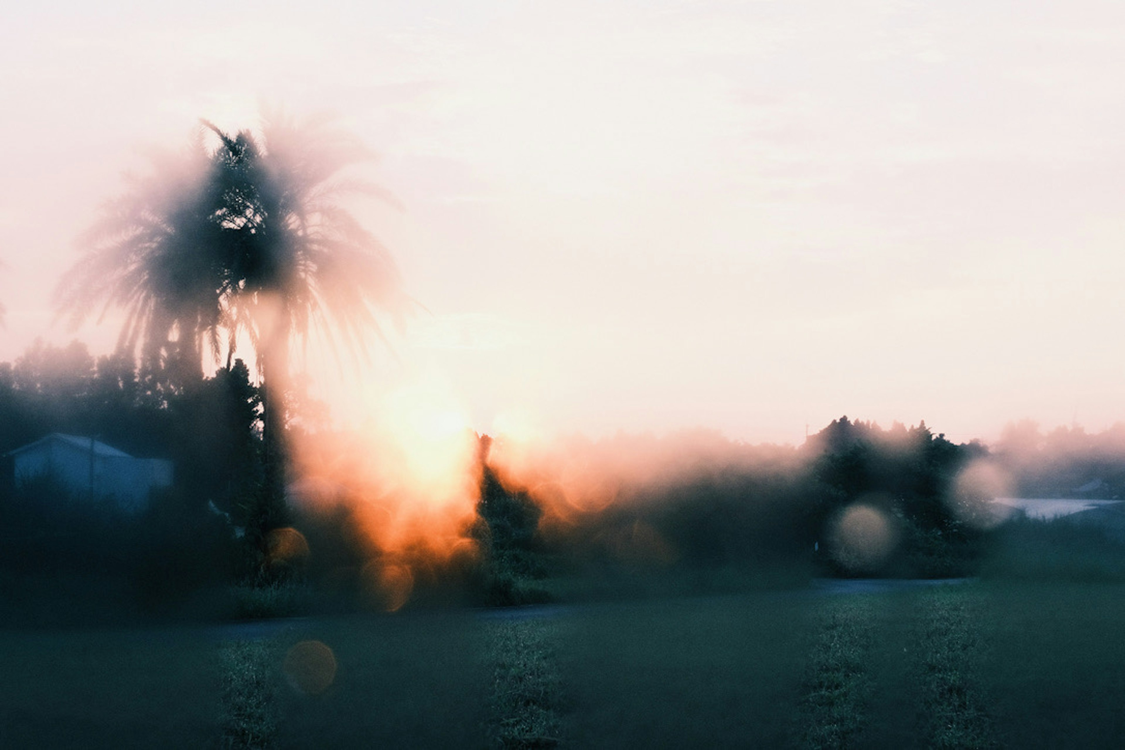 Verschwommene Sonnenuntergangslandschaft mit silhouettierten Palmen und sanftem Licht