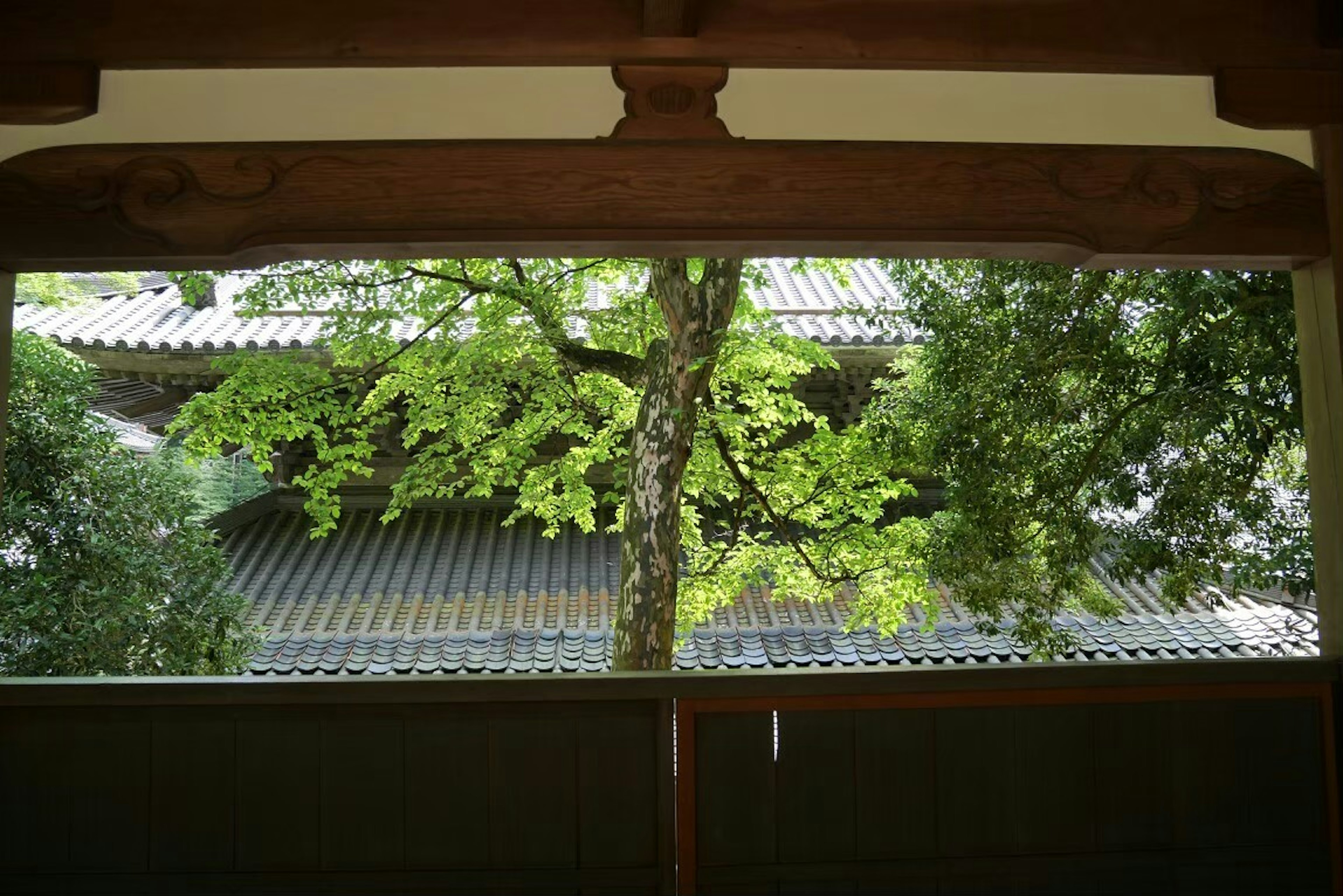 Vista escénica de un árbol verde y un techo tradicional a través de una ventana