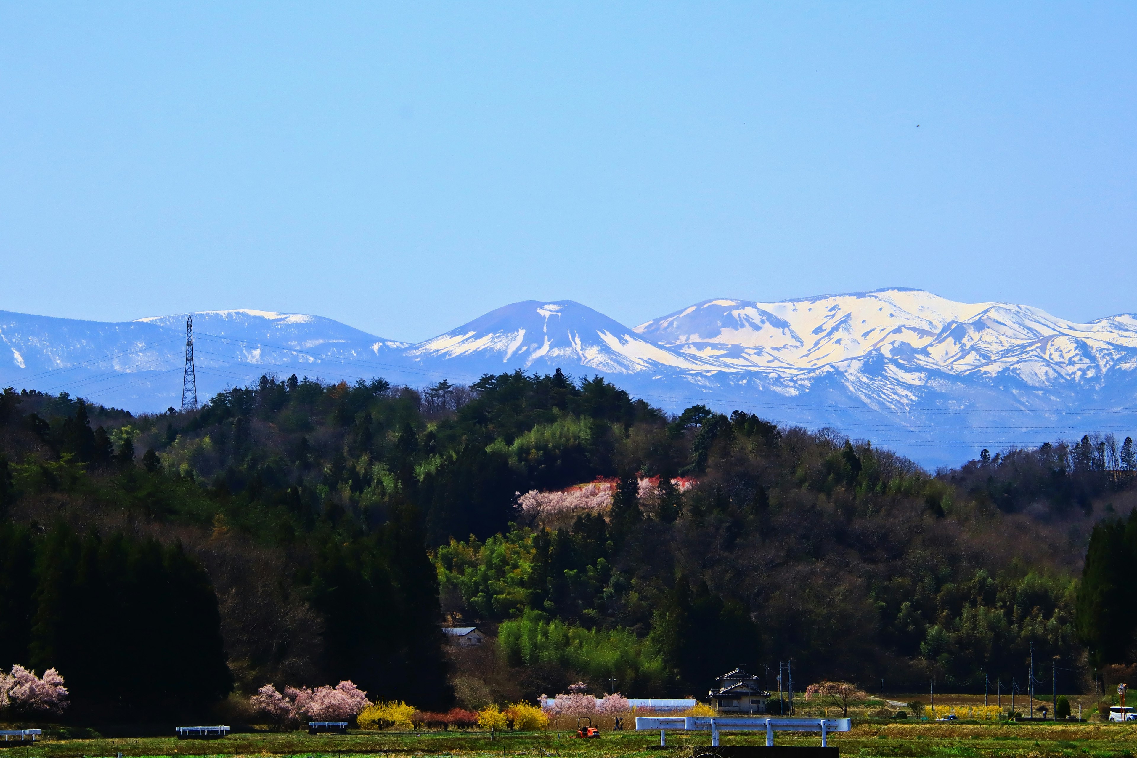 Landschaft mit schneebedeckten Bergen und grünen Hügeln