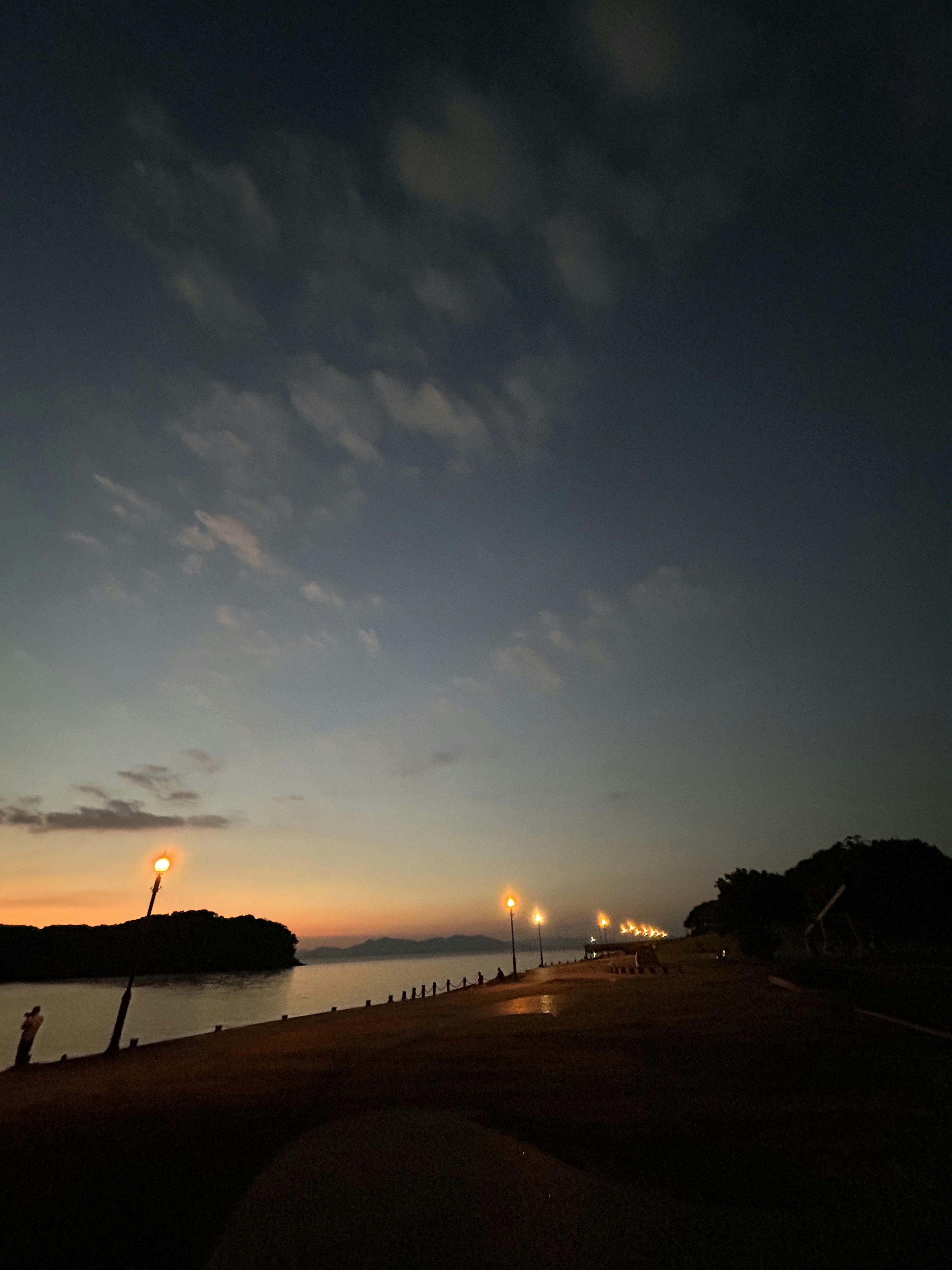 夕焼けの海岸線と街灯が映える静かな夜の風景