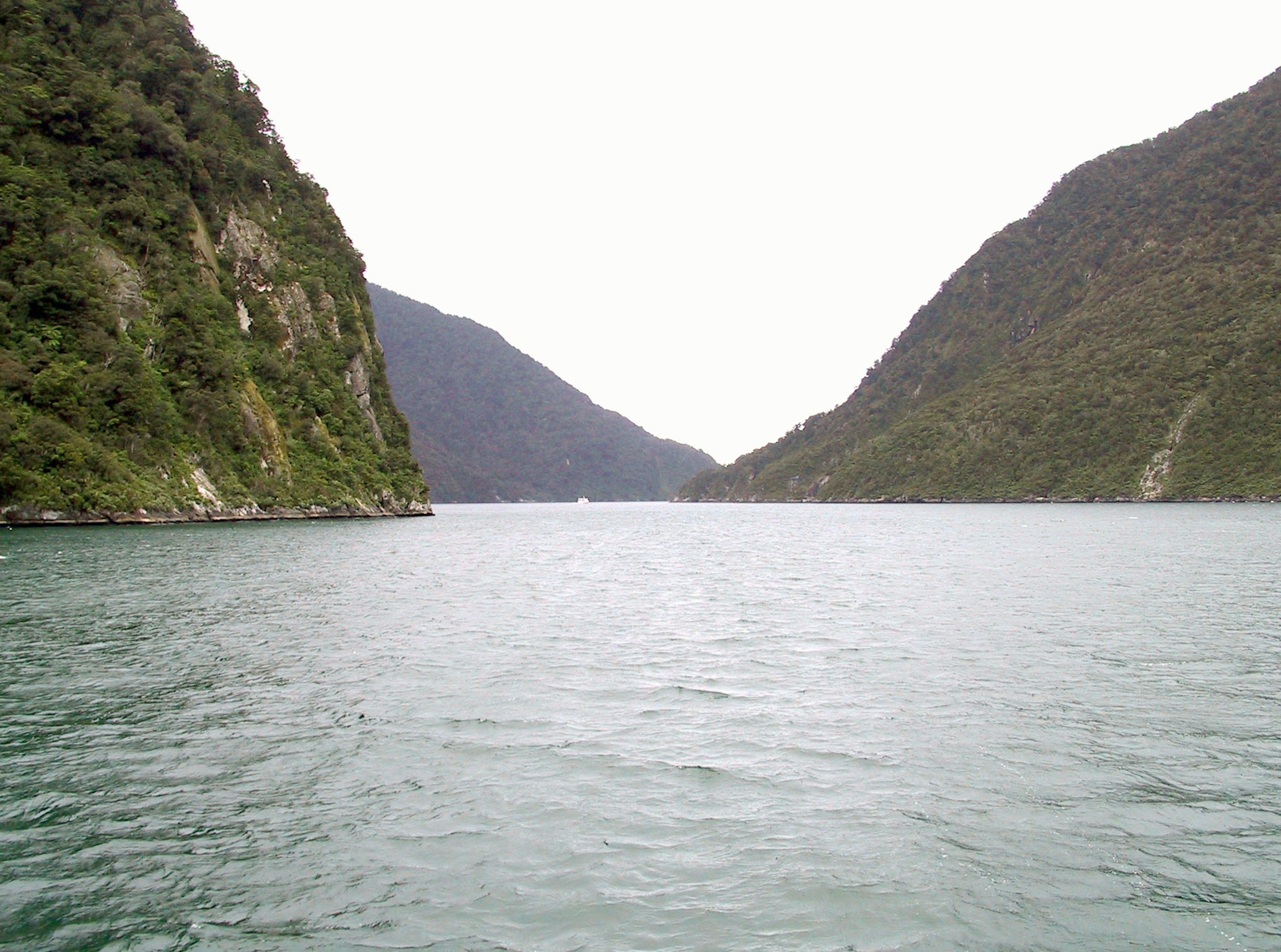 深い緑色の山々に囲まれた静かな湖の風景