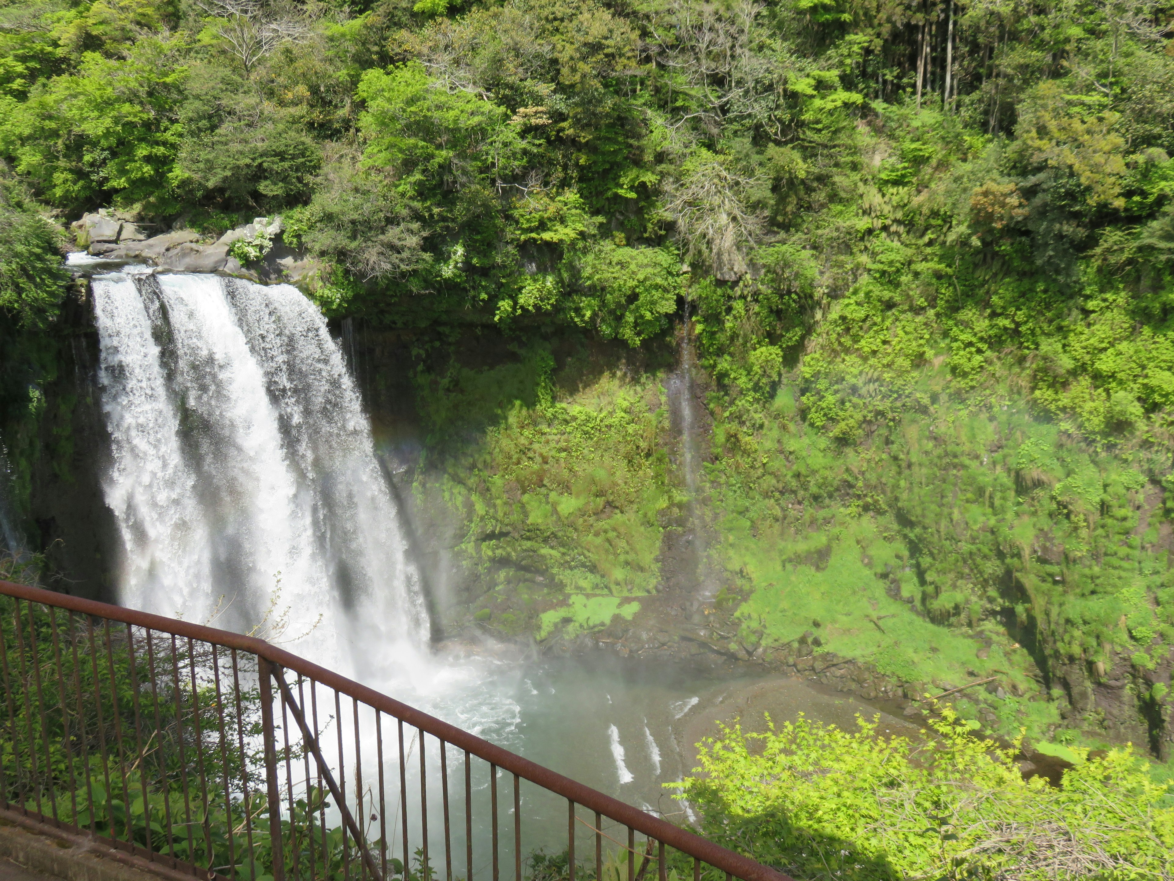 Belle cascade entourée d'une verdure luxuriante et d'une rambarde