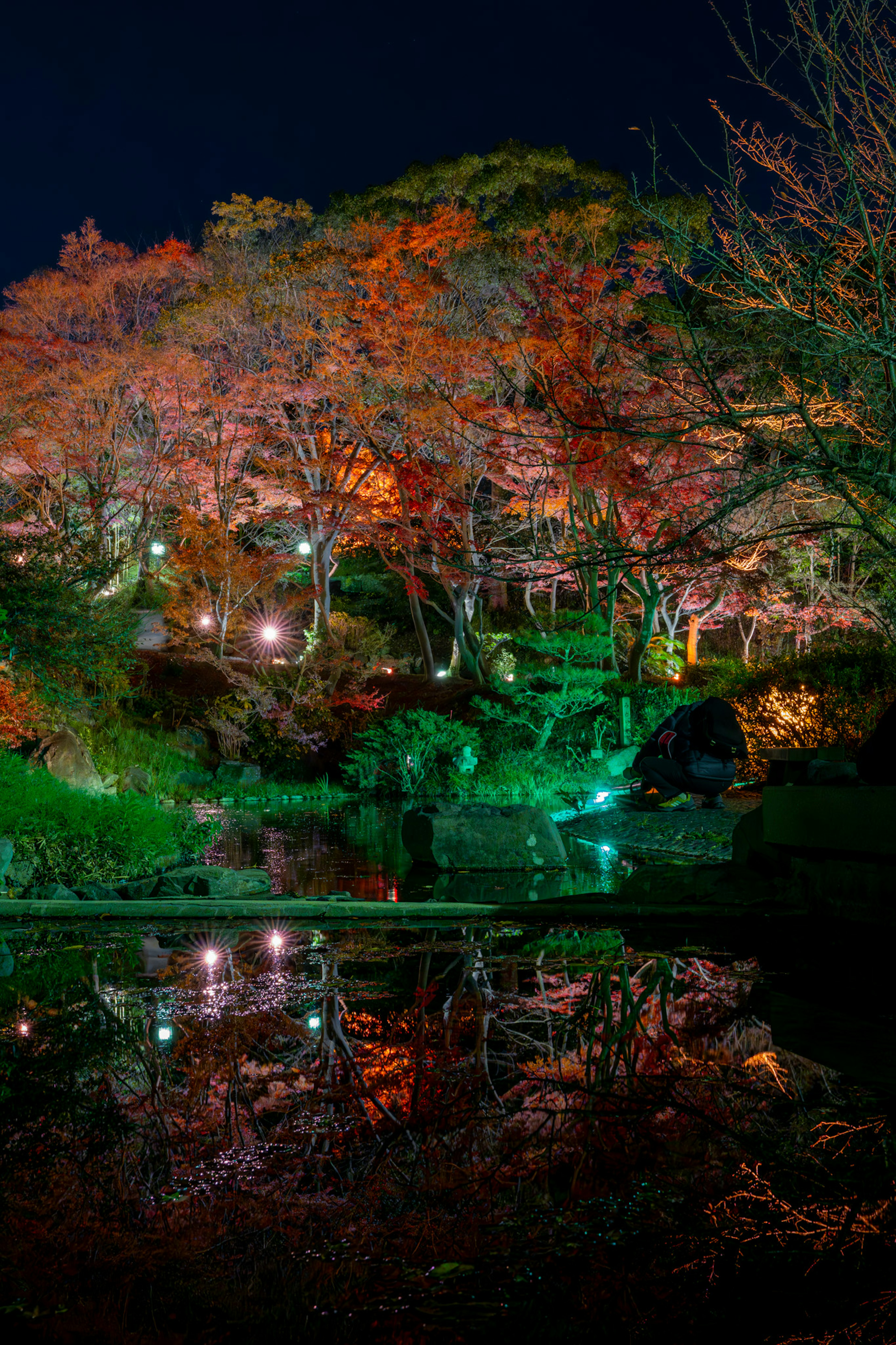 夜の紅葉が映る池の風景緑色のライトが照らす美しい景色