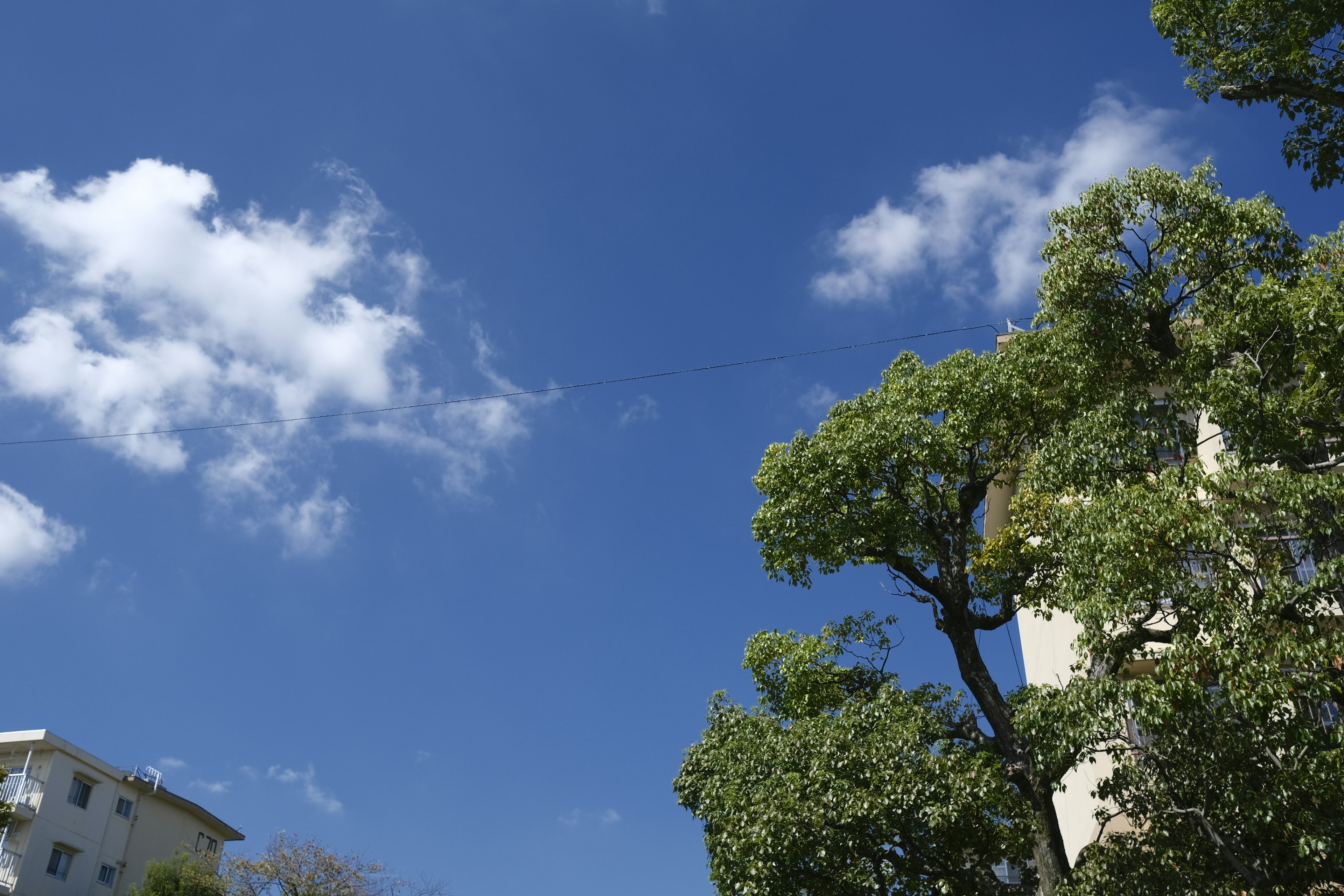 Escena con cielo azul, nubes blancas y árboles verdes junto a un edificio