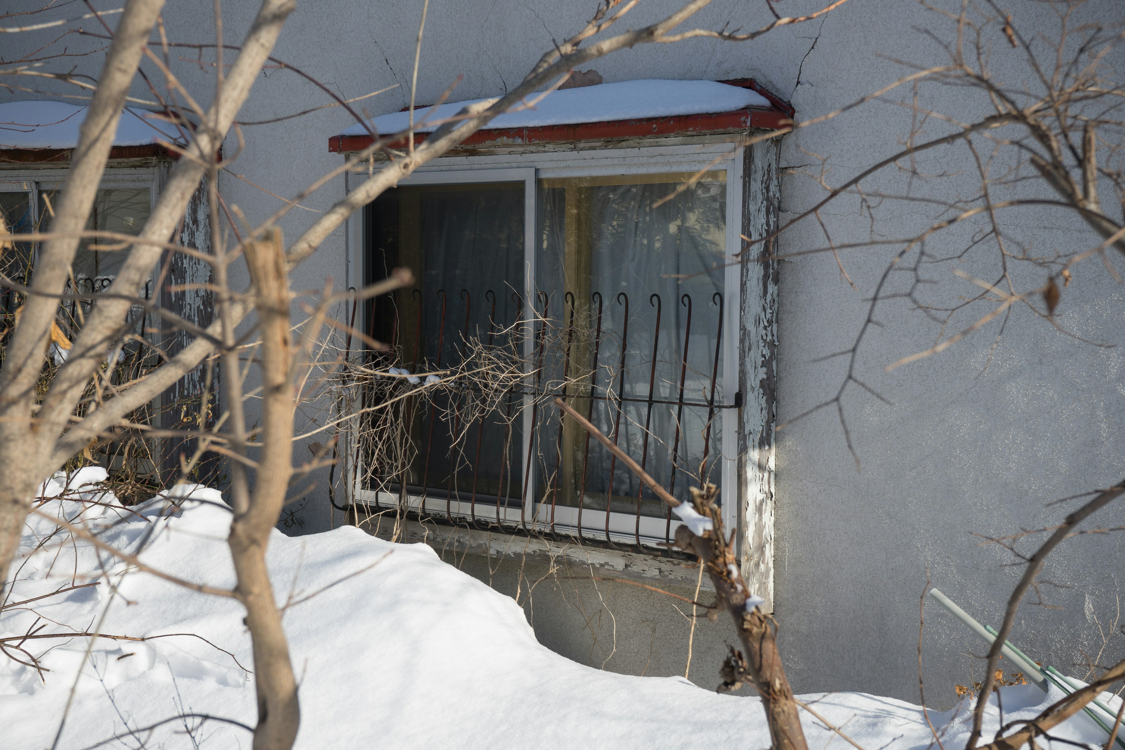 A window of an old building partially covered in snow with bare tree branches