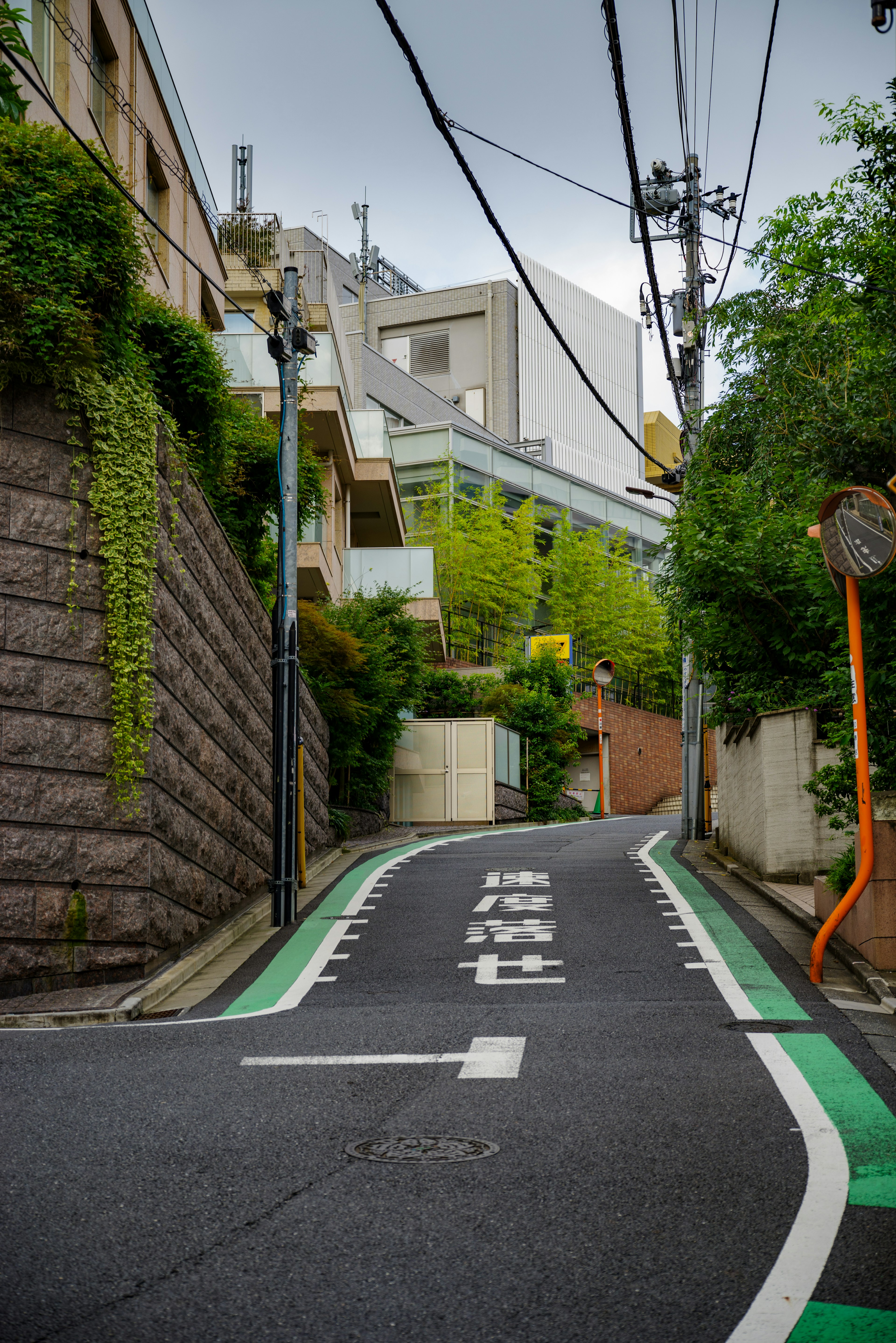 A sloped road with green markings and surrounding buildings featuring greenery