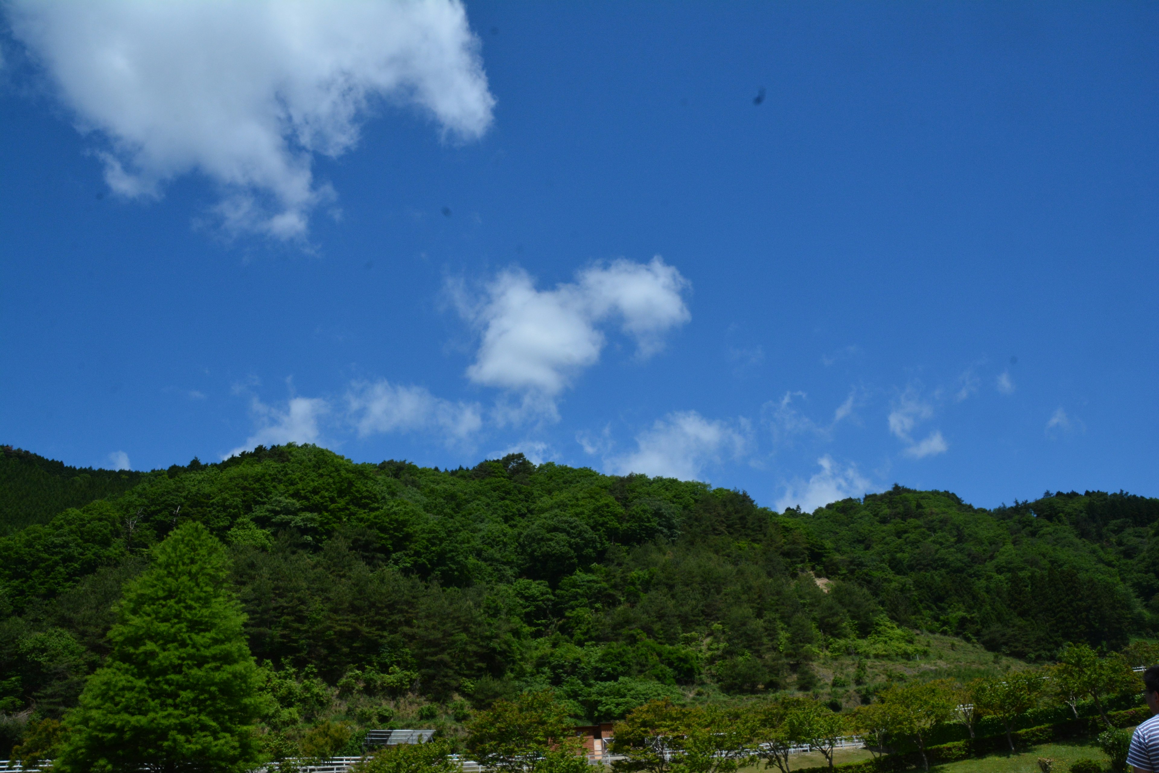 绿山在晴朗蓝天下的风景