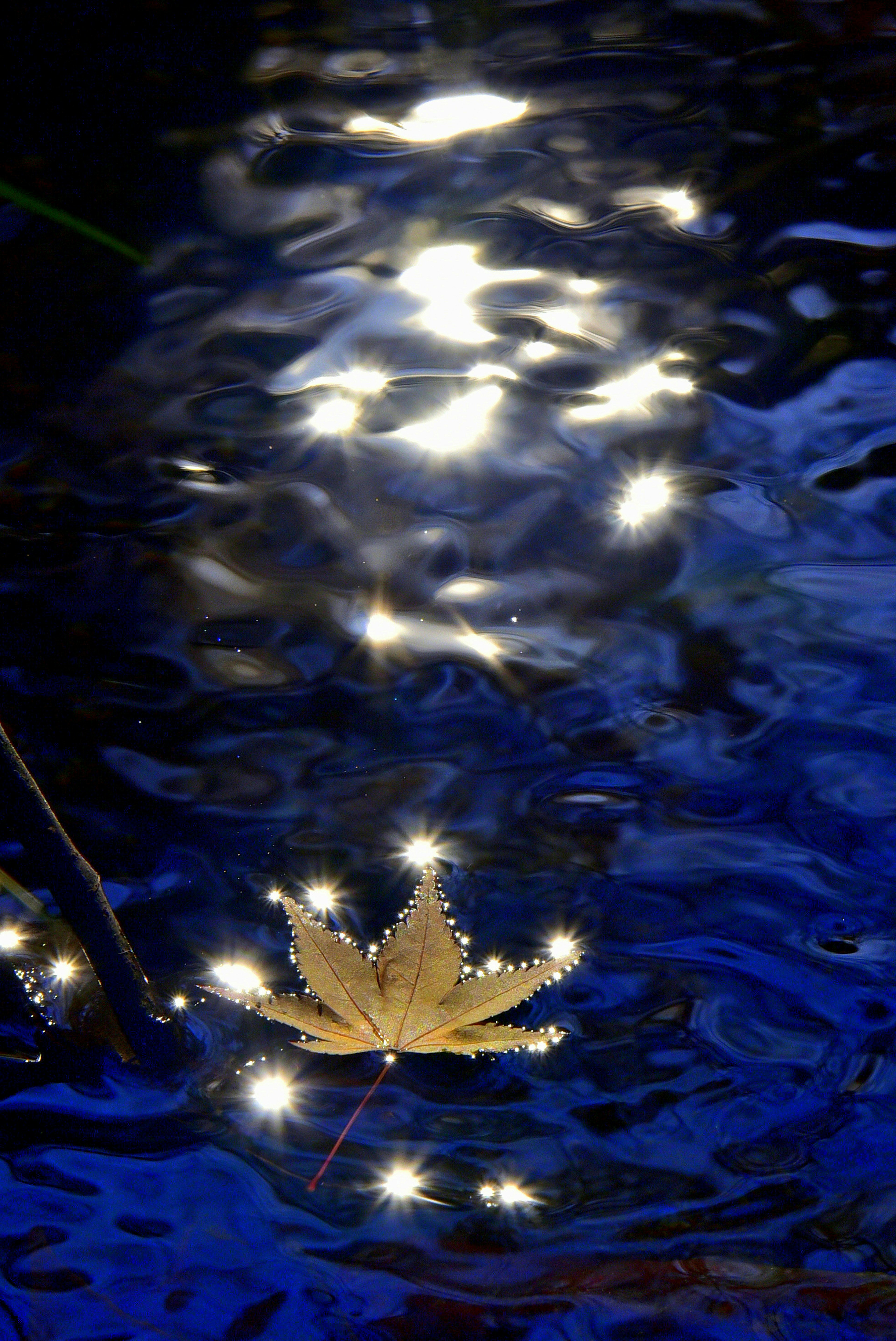 Yellow leaf floating on water surface with sparkling reflections