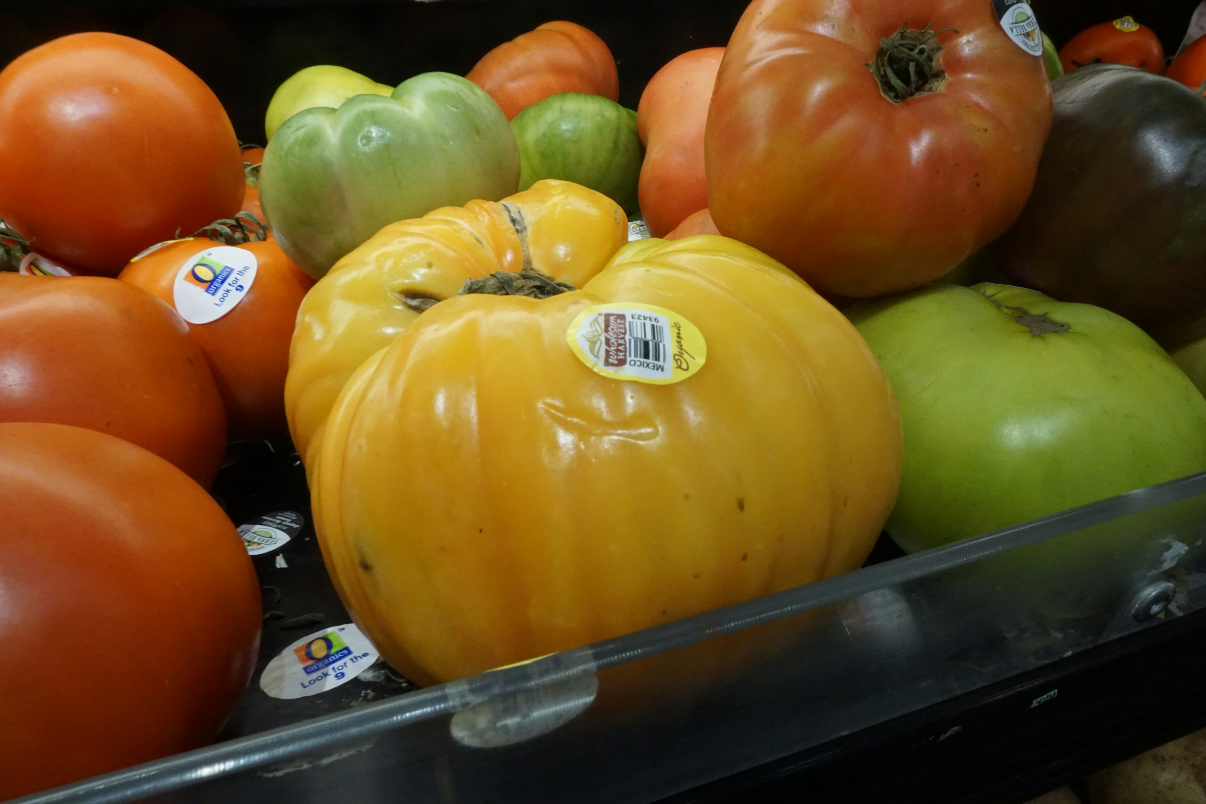 A vibrant yellow tomato stands out among various colored tomatoes