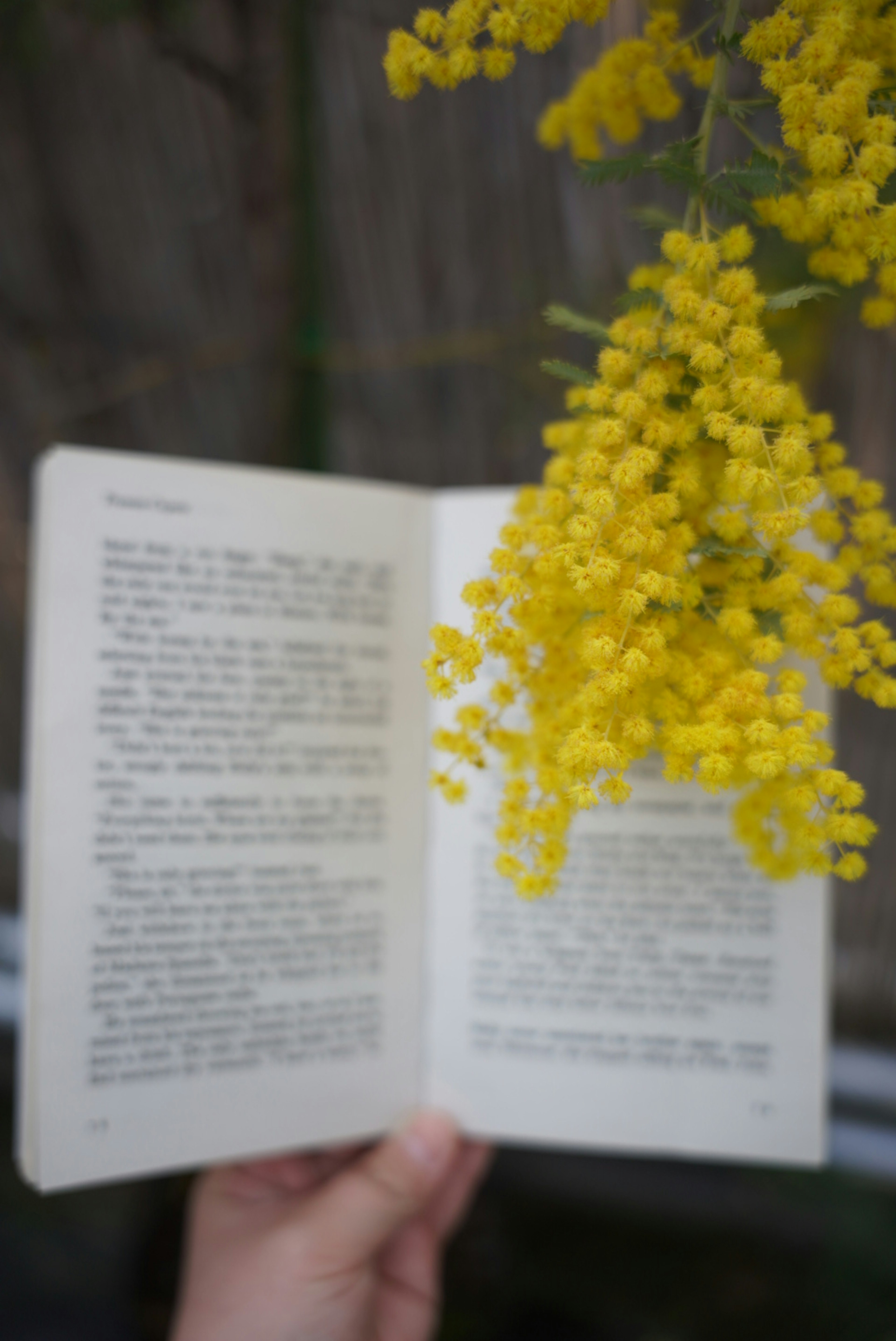 A hand holding an open book with yellow flowers in the background