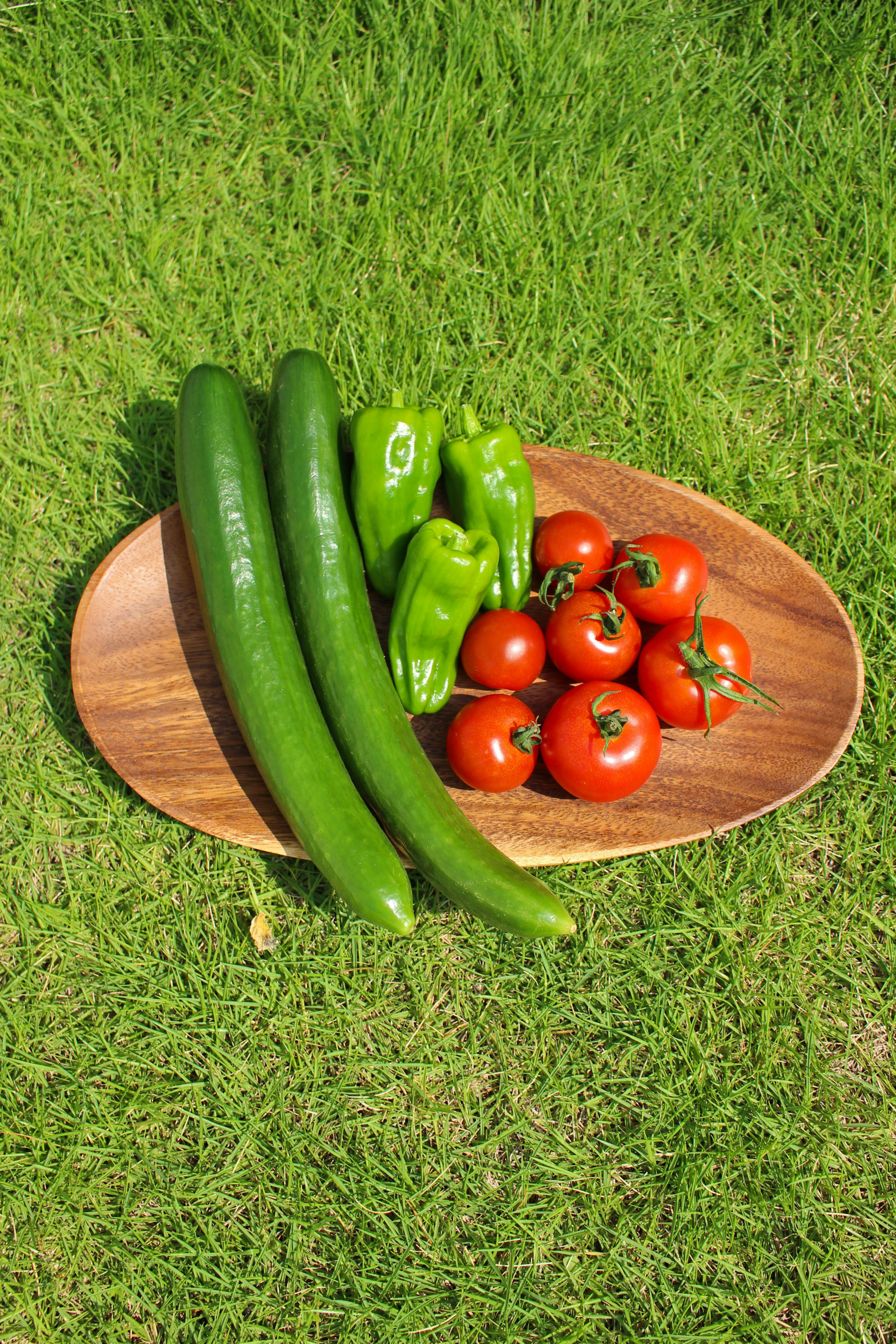 Courgettes vertes tomates rouges et poivrons verts disposés sur une assiette en bois