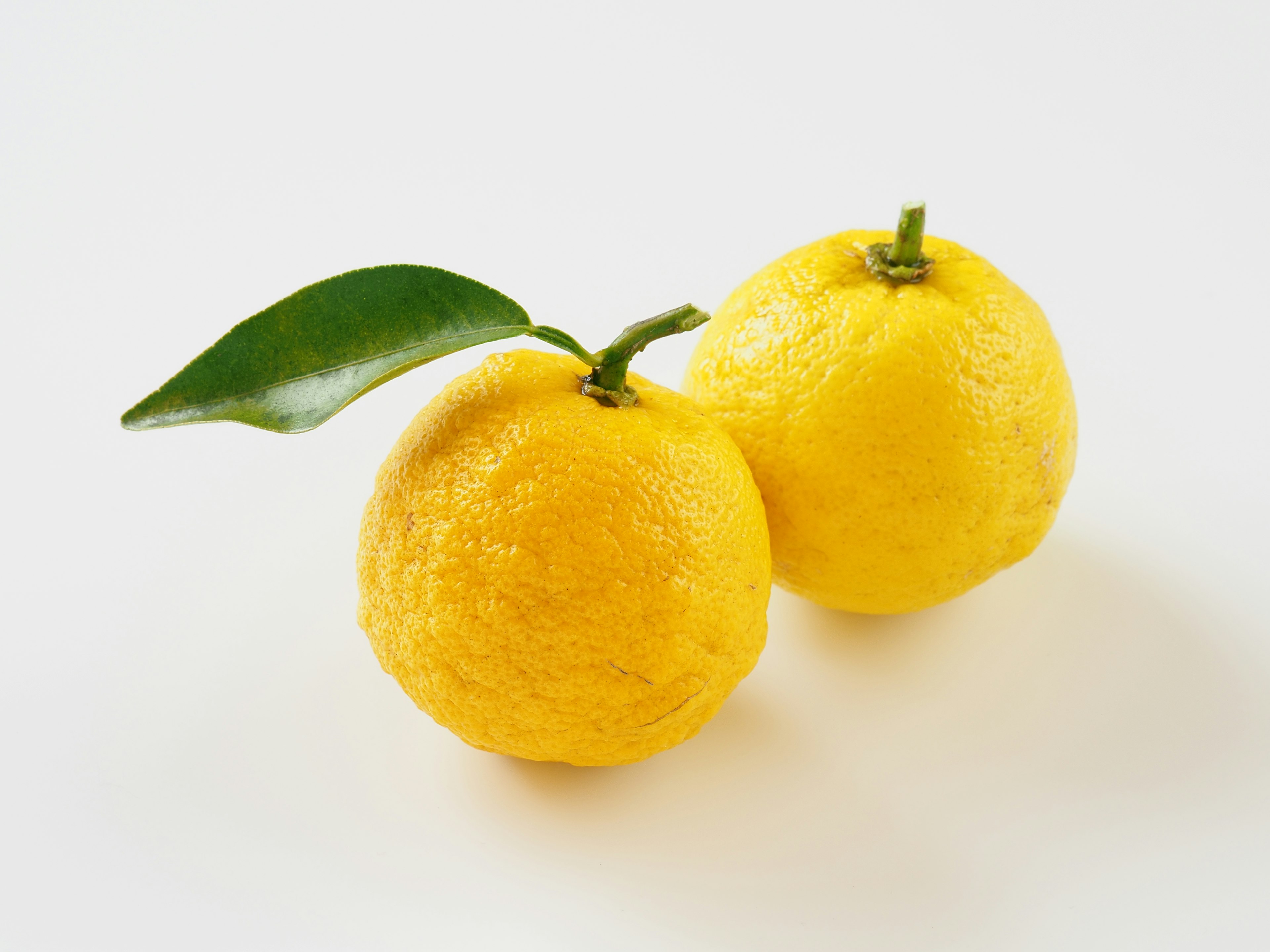 Two yellow citrus fruits with a green leaf