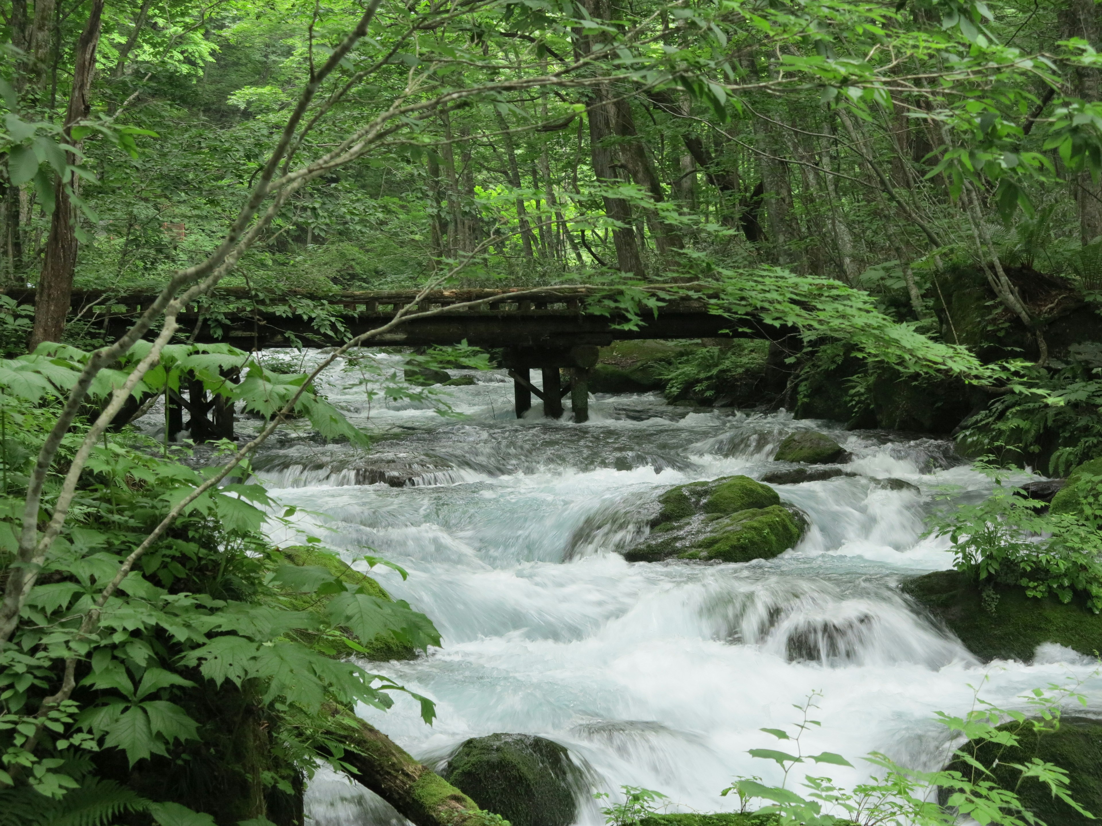 Malerei eines Bachs mit einer Holzbrücke umgeben von üppigem Grün