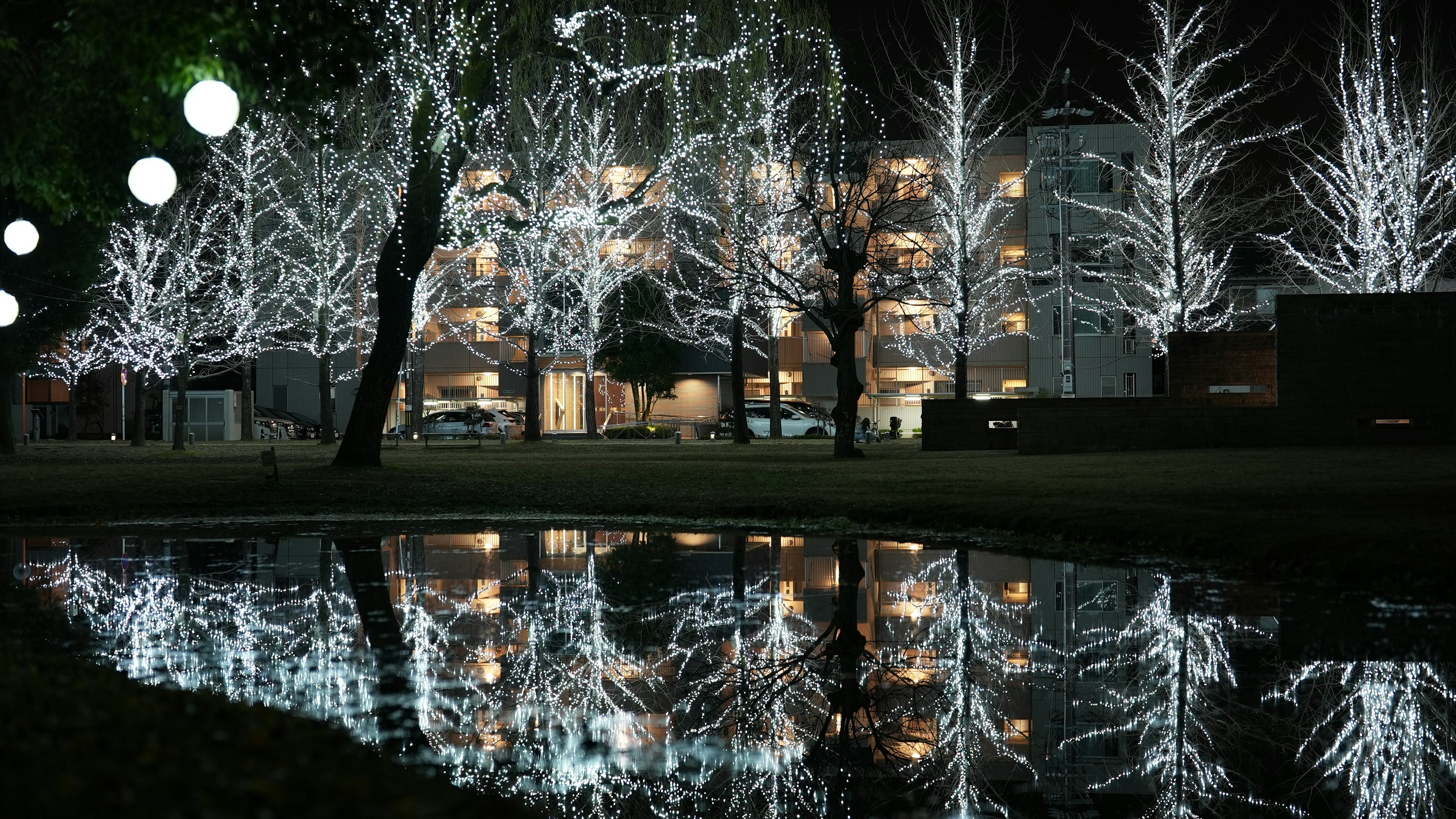 Árboles blancos iluminados en un parque por la noche con reflejos en un estanque