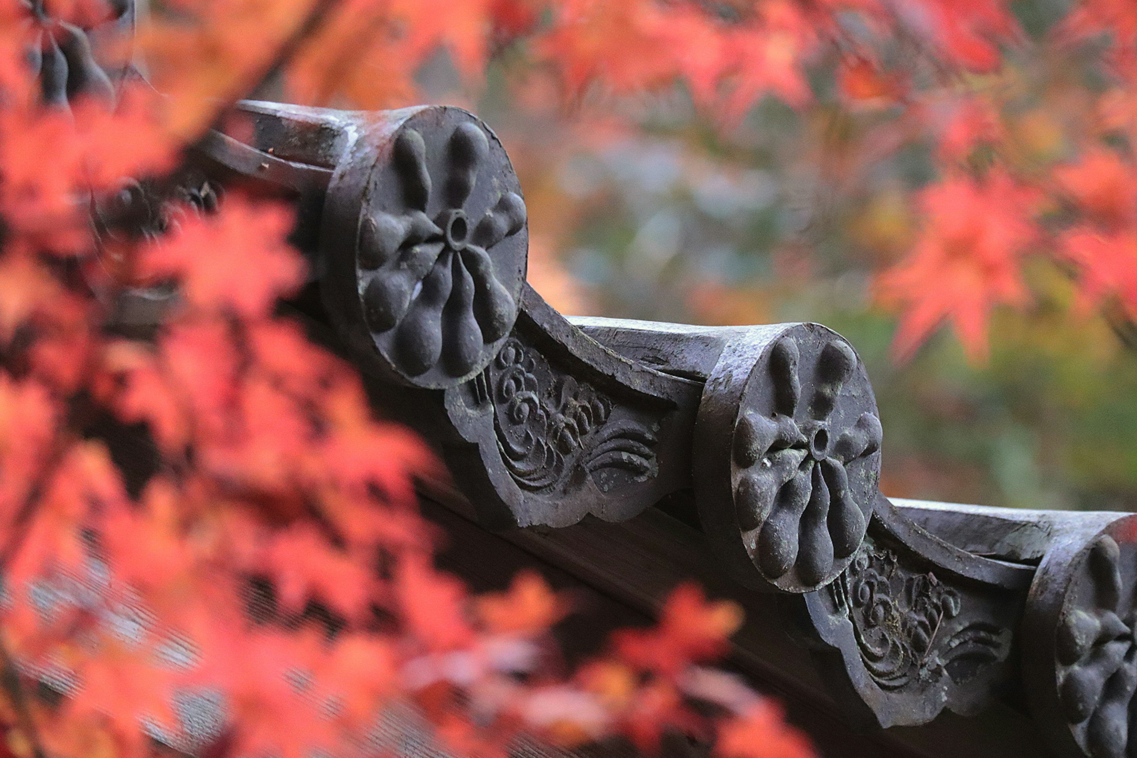 Détails de toit traditionnel avec des feuilles d'automne vibrantes